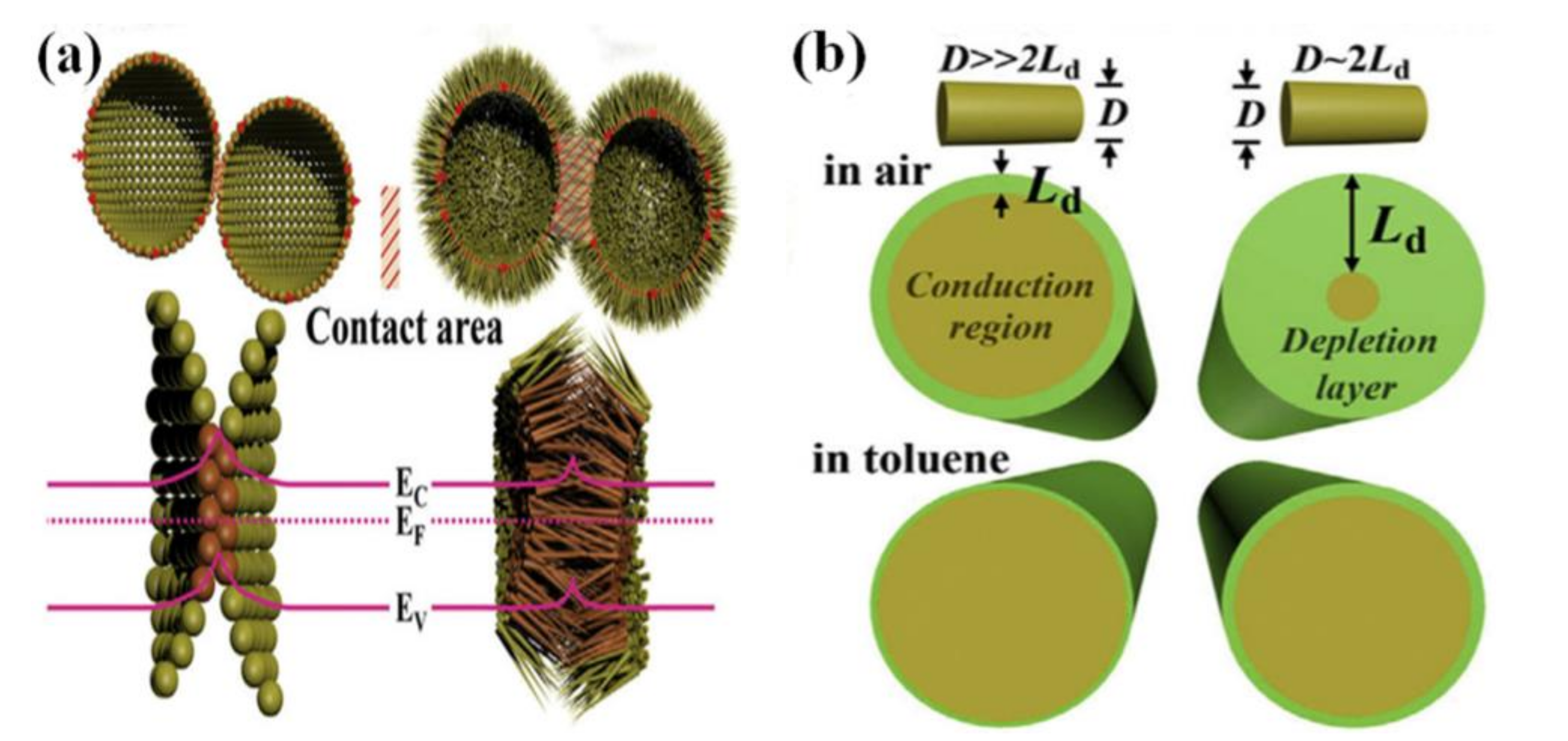 Sensors | Free Full-Text | The Morphologies of the Semiconductor 