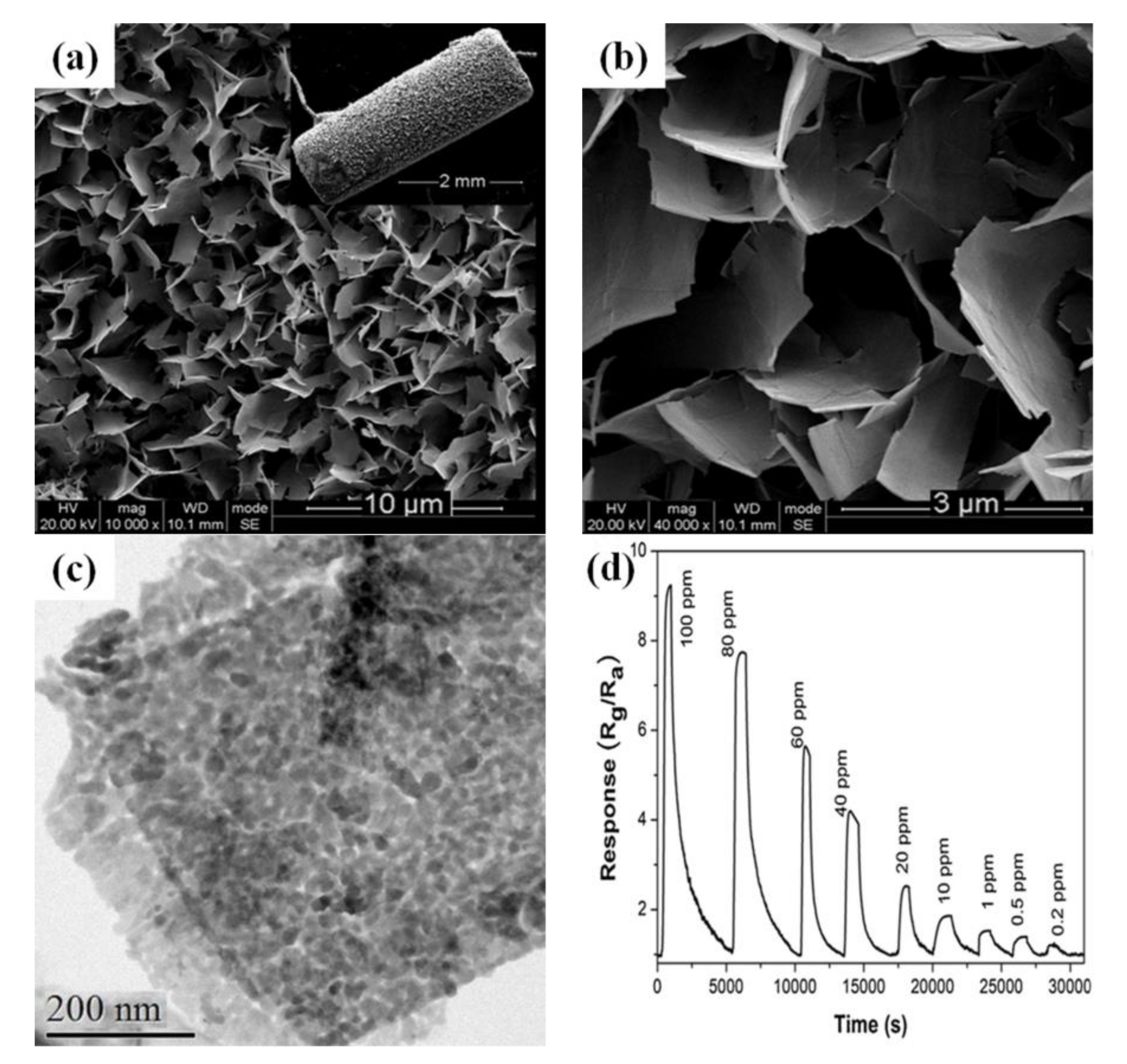 Sensors | Free Full-Text | The Morphologies of the Semiconductor 