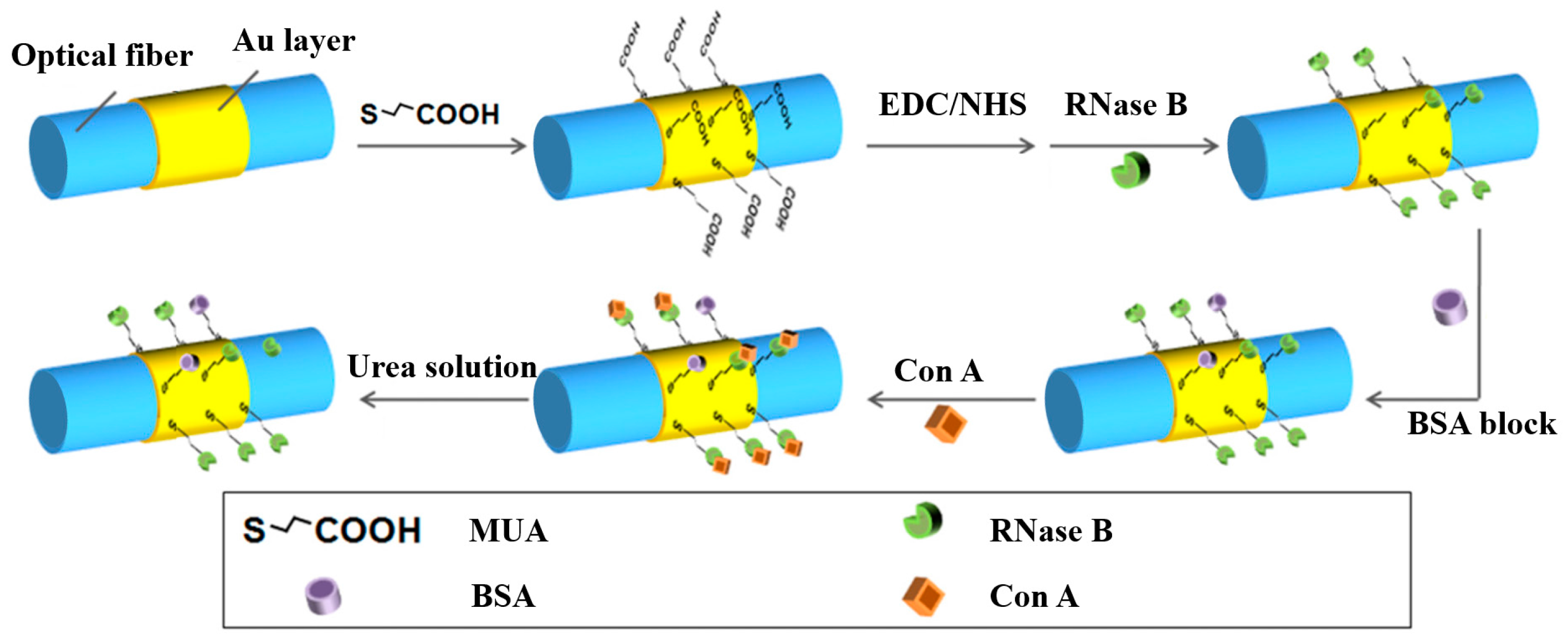 Sensors 17 02797 g003 Sensors 17 02797 g003