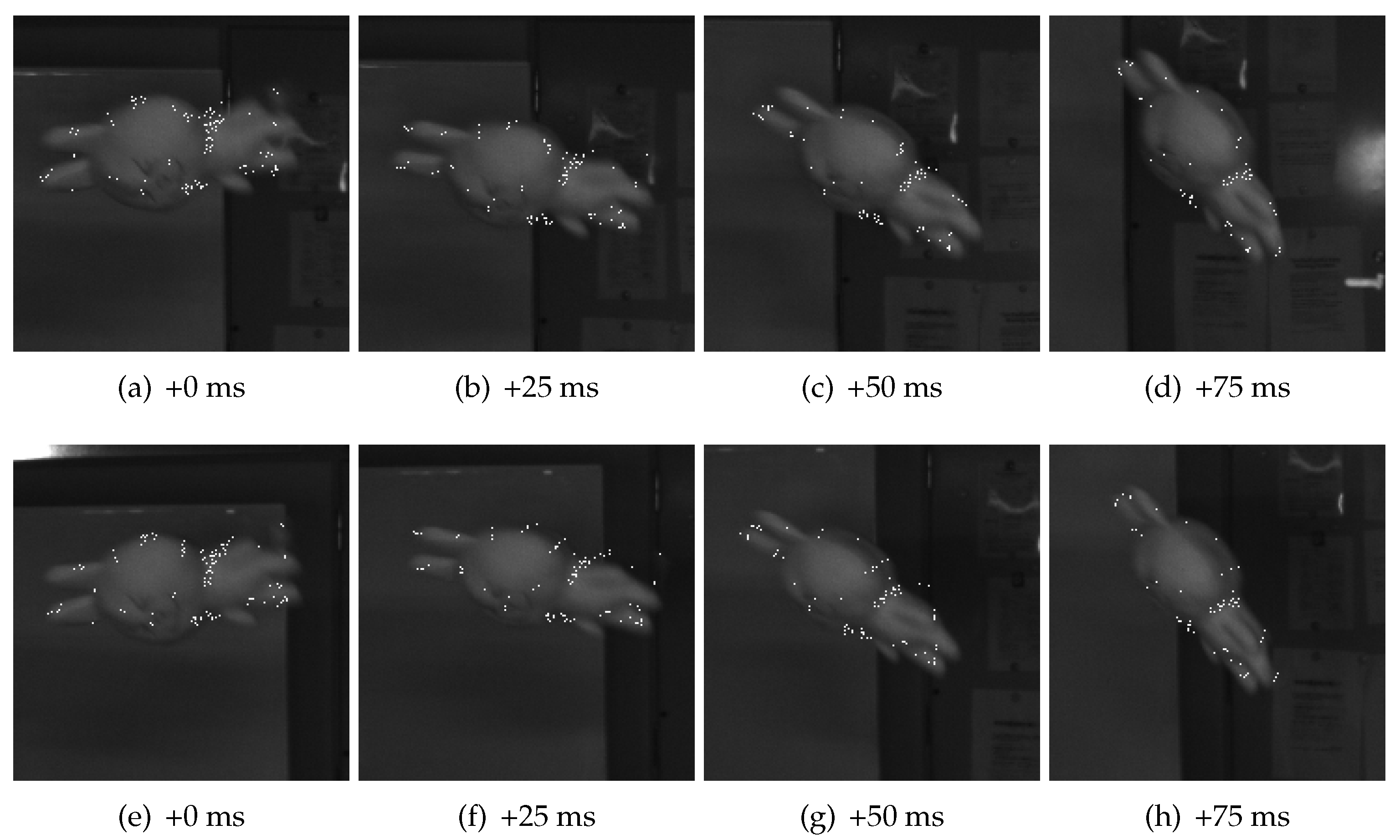 Sensors 17 02820 g009 550