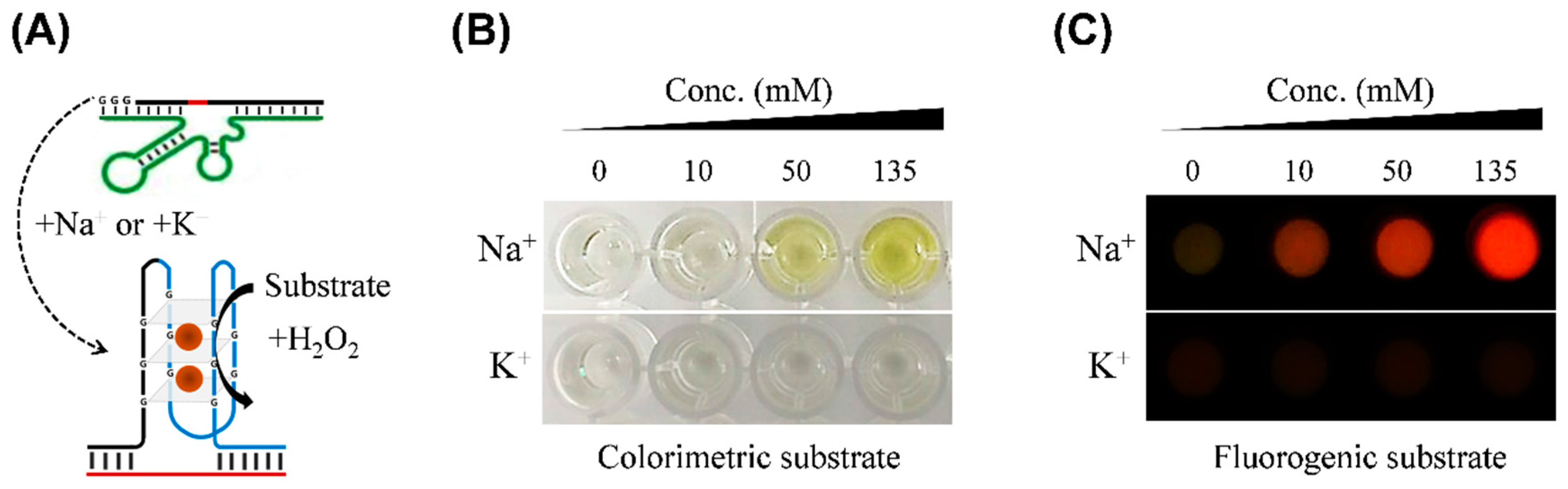 Sensors 17 02840 g003