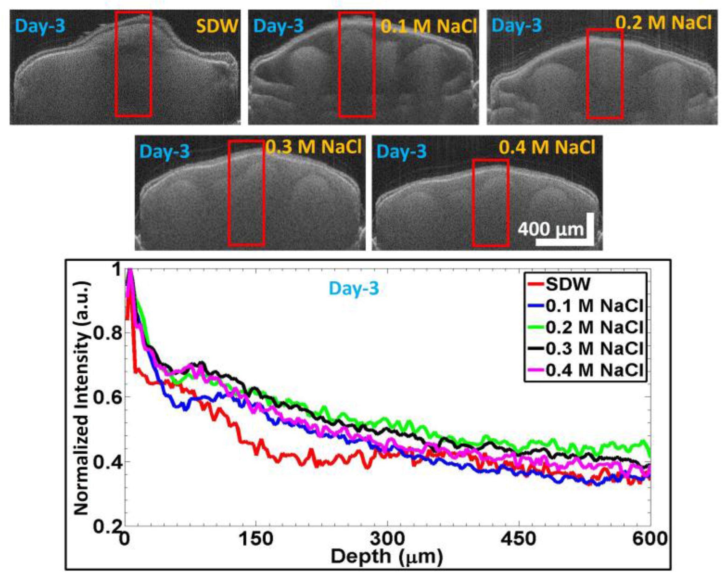 Sensors 17 02887 g005 550