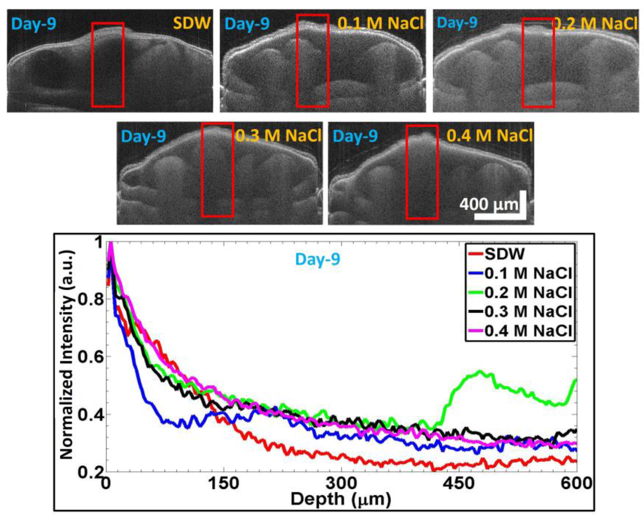Sensors 17 02887 g006 550