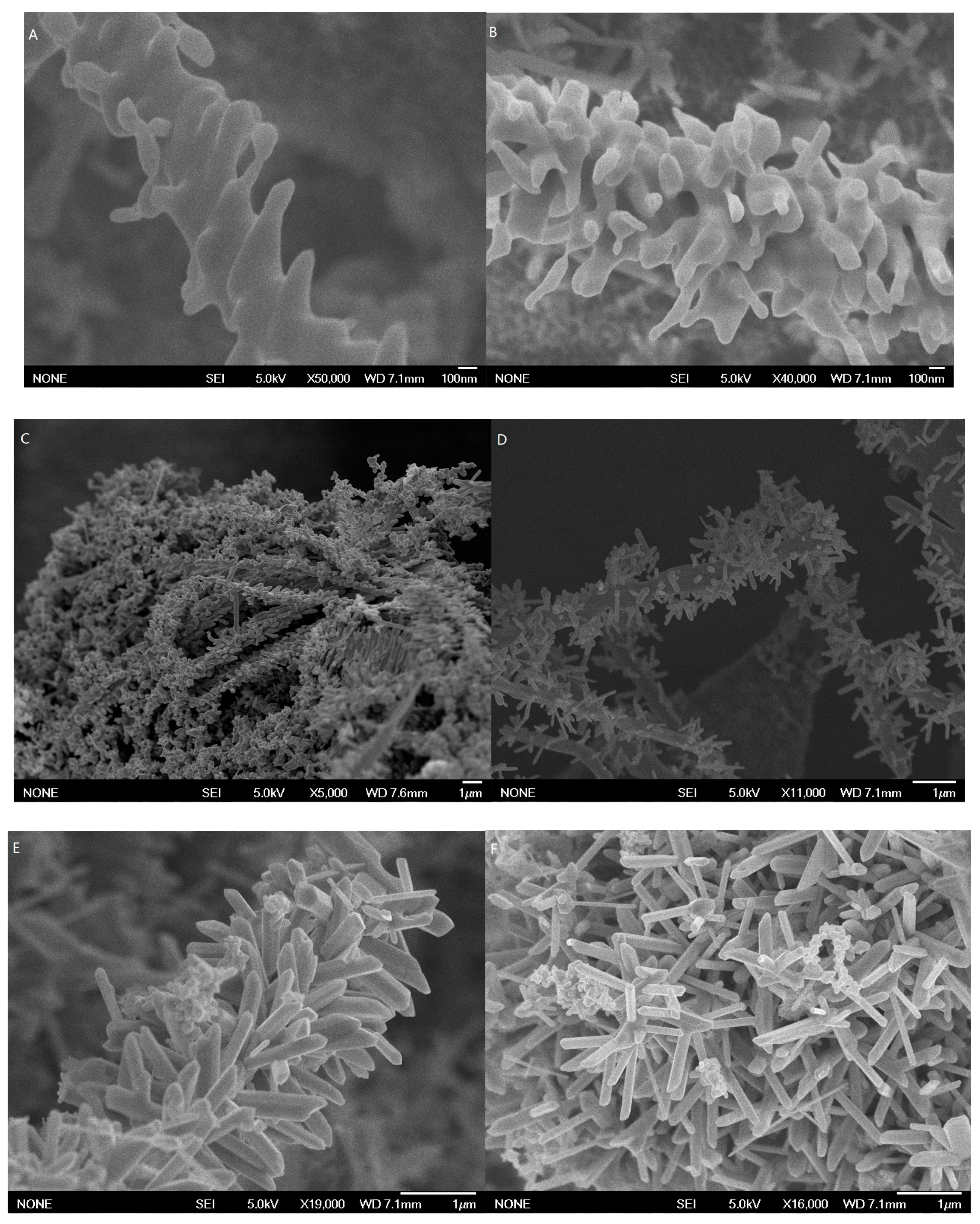 Sensors 17 02896 g001