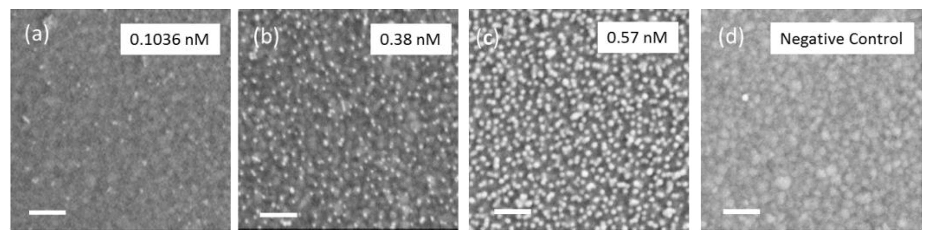 Sensors 17 02931 g007