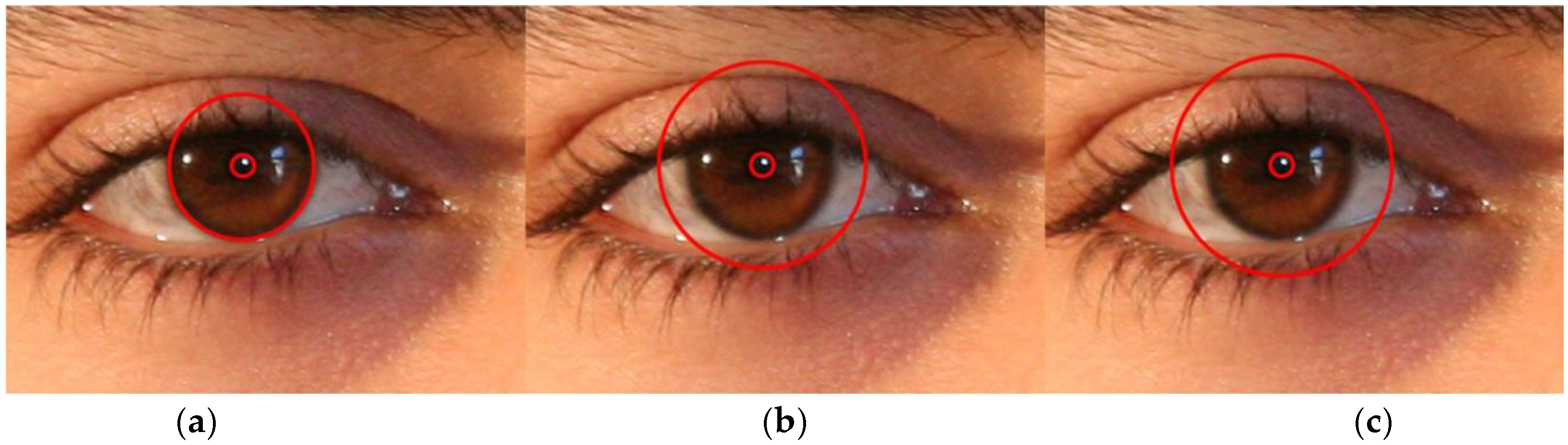 Sensors 17 02933 g004