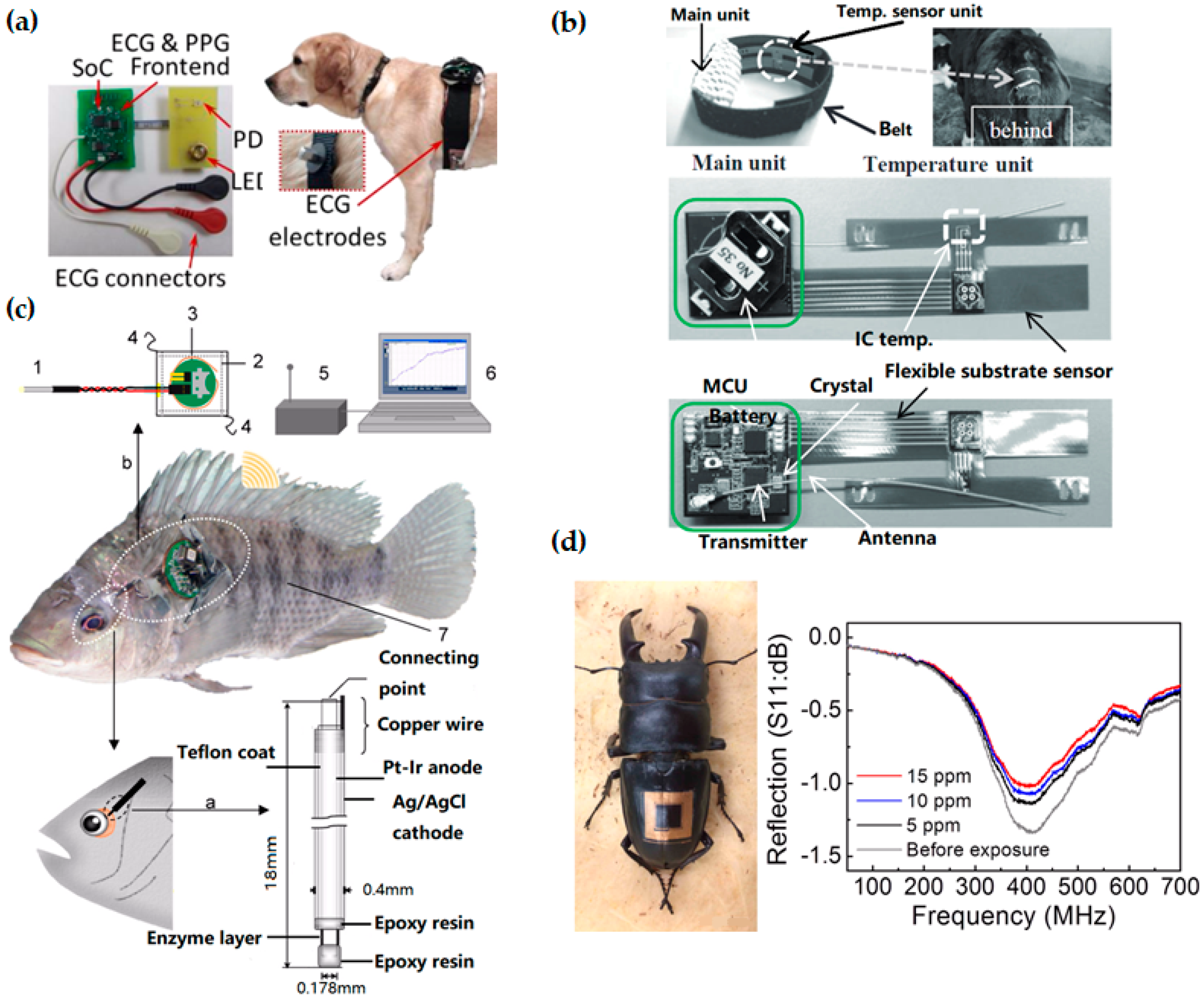 Sensors 18 00005 g005