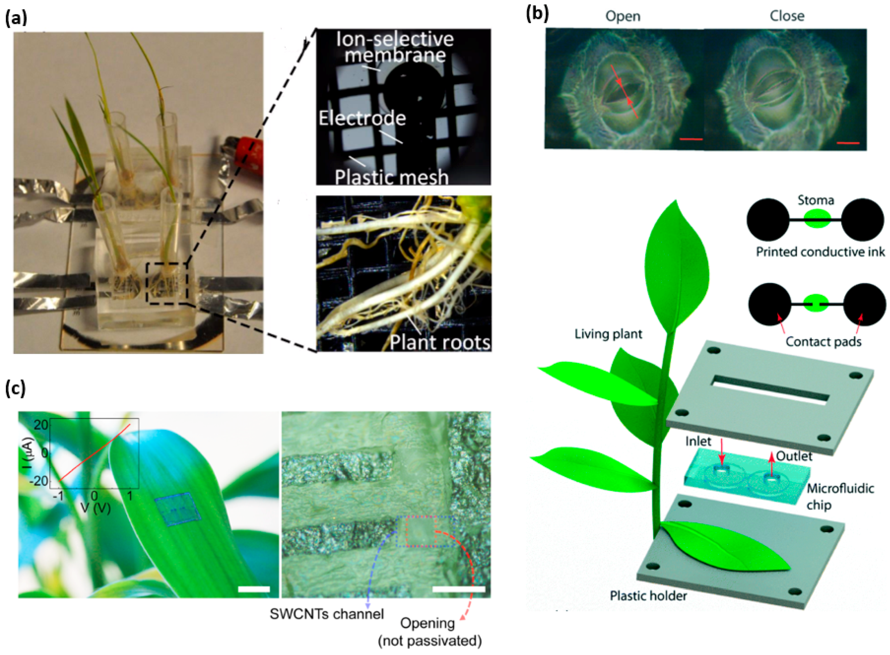 Sensors 18 00005 g006
