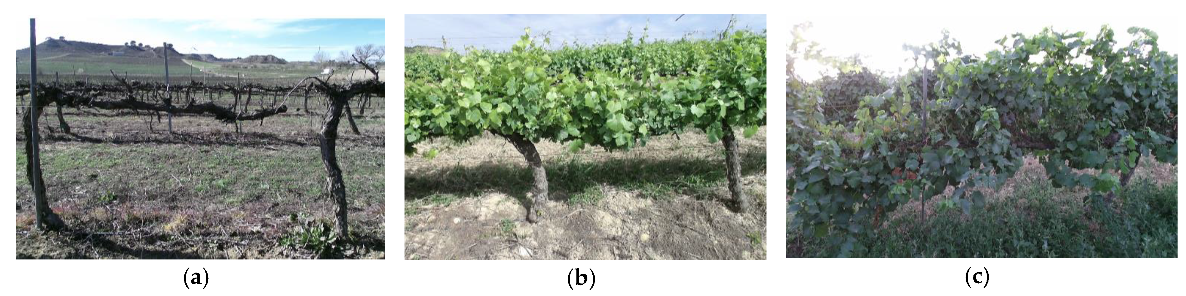 Sensors | Free Full-Text | A Low-Cost Approach to ...