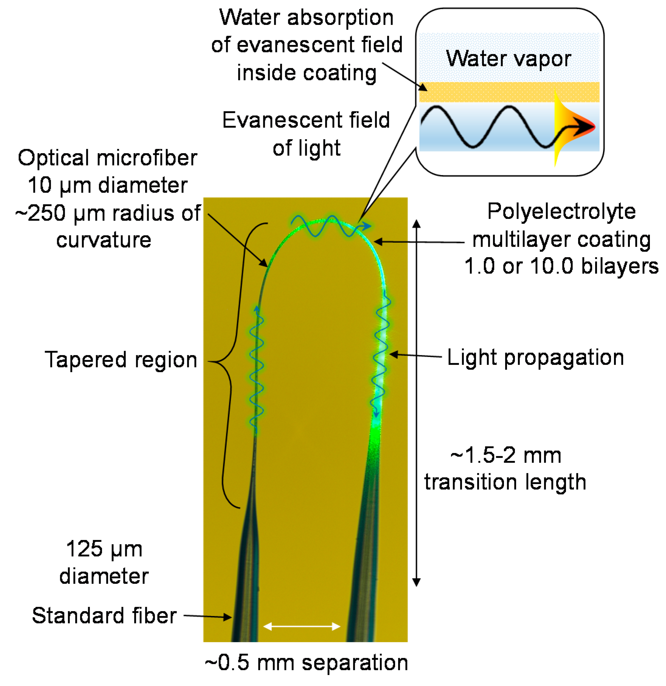 Sensors 18 00072 g019 550