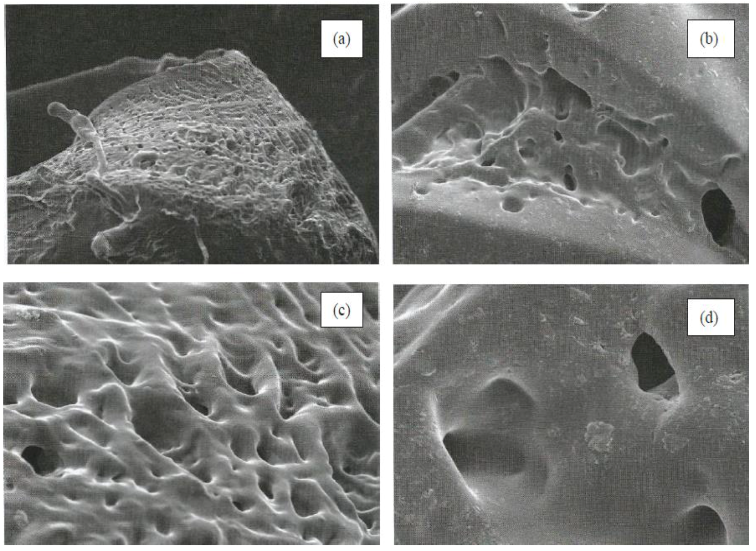 Sensors 18 00101 g002 Sensors 18 00101 g002