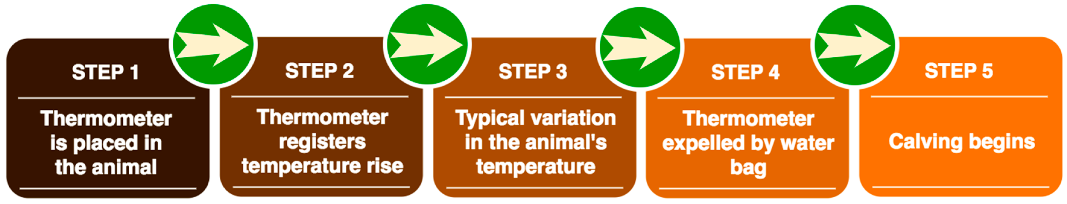 Sensors Free Full Text Combination Of Multi Agent Systems And Wireless Sensor Networks For The Monitoring Of Cattle Html