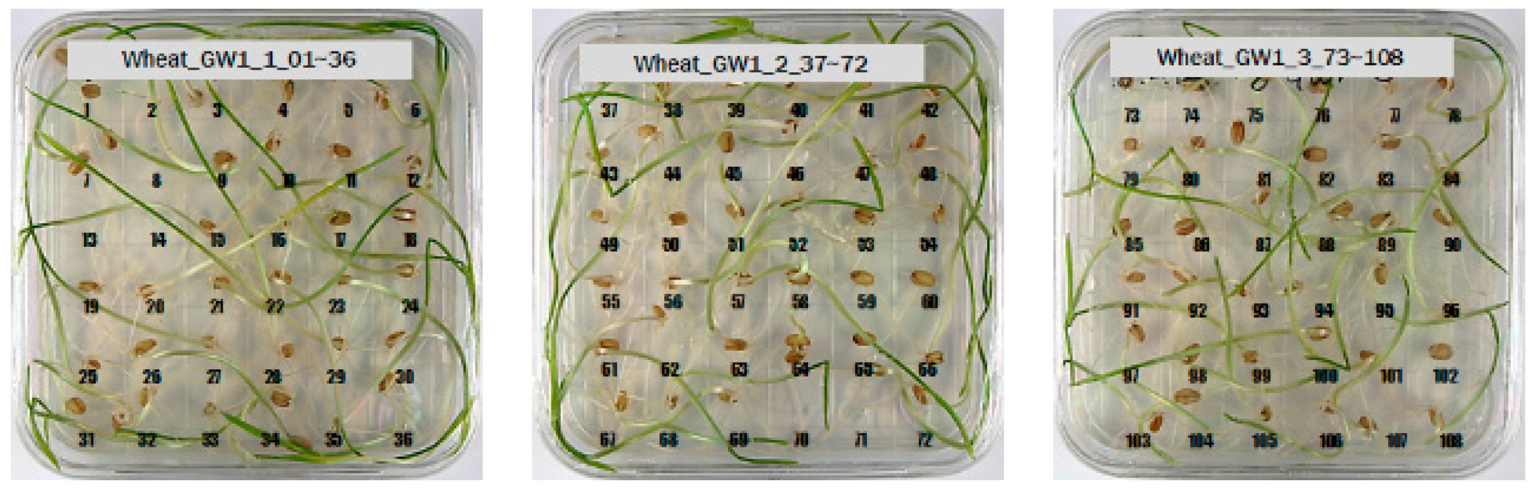 Sensors 18 00113 g008