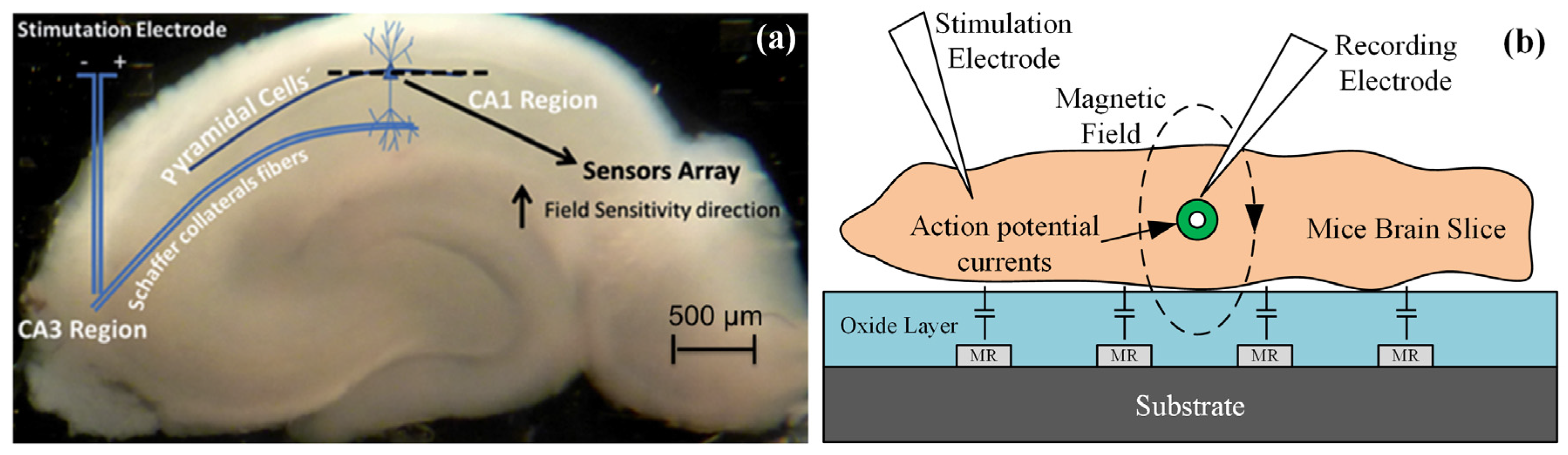 Sensors 18 00148 g016