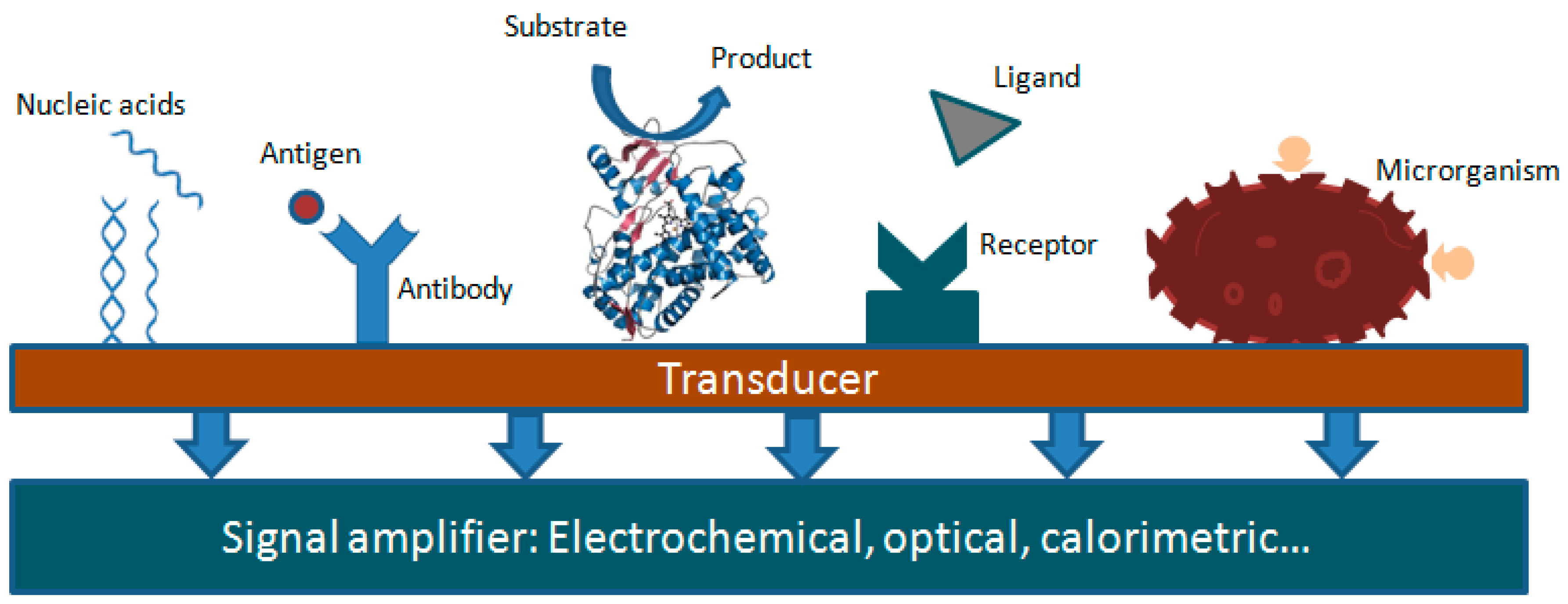 Sensors Free FullText Recent Advances in Electrochemical