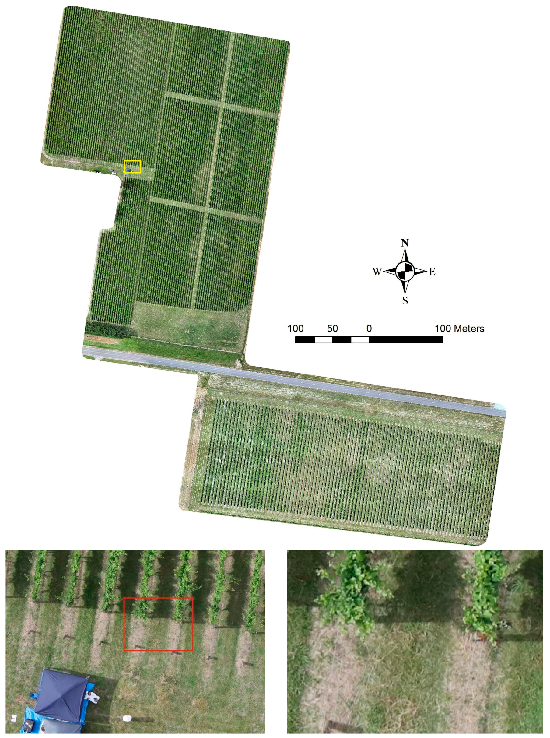 Sensors 18 00260 g006