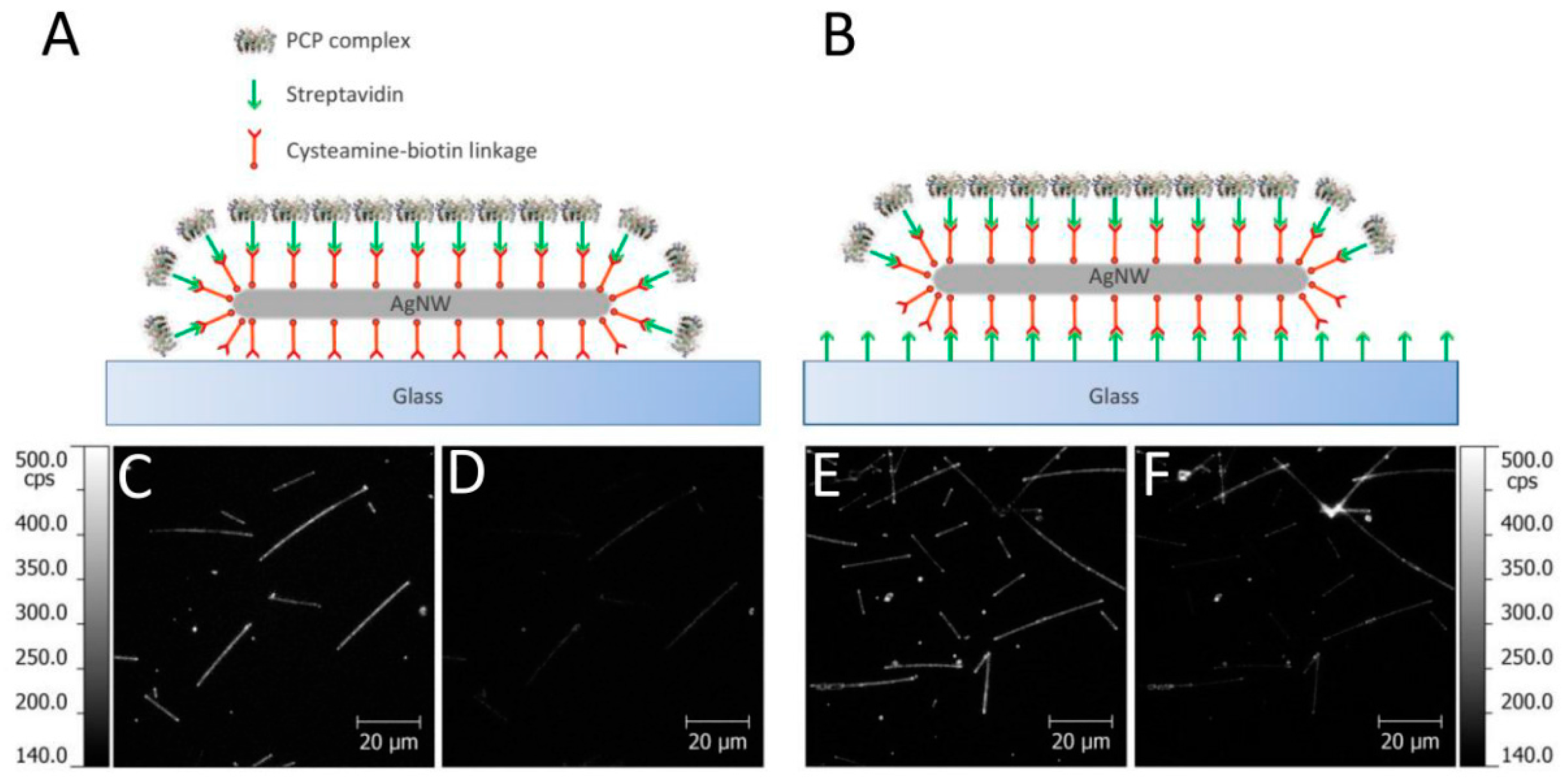 Sensors 18 00290 g003