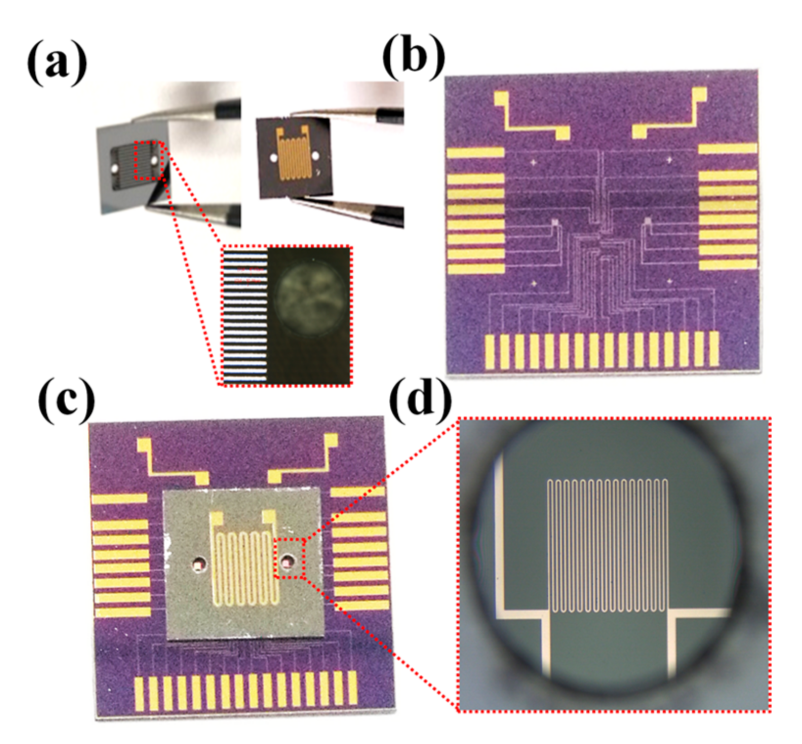 Sensors Free Full Text A Comprehensive Study Of A Micro