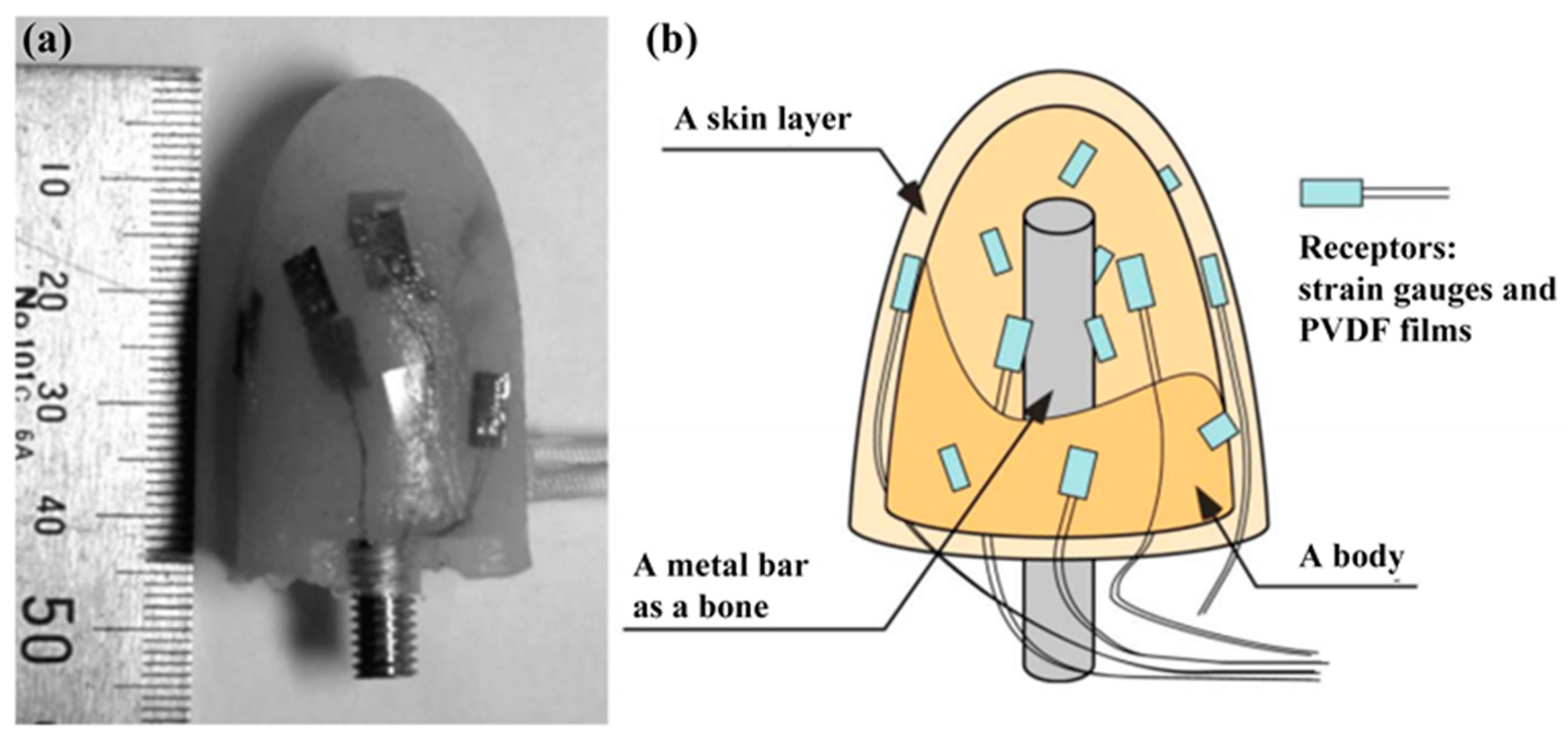 Sensors 18 00330 g003 Sensors 18 00330 g003