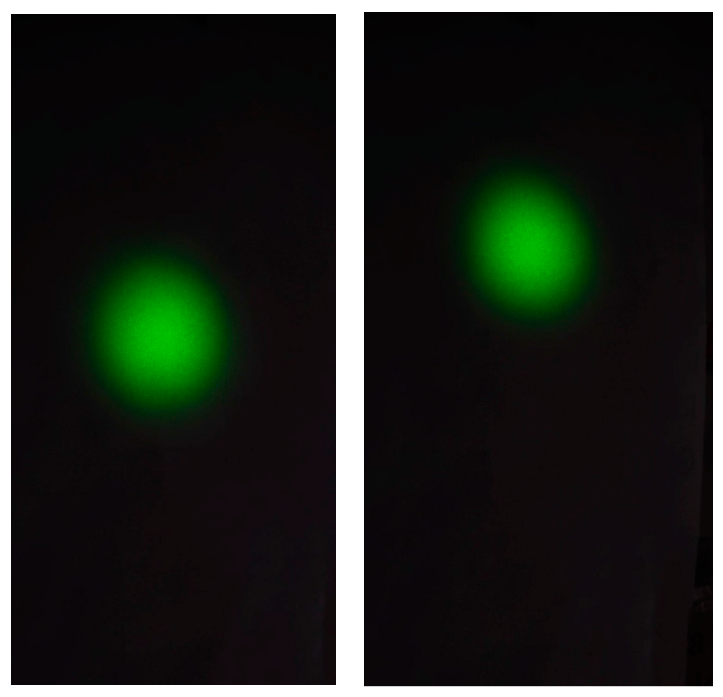 Sensors 18 00338 g010