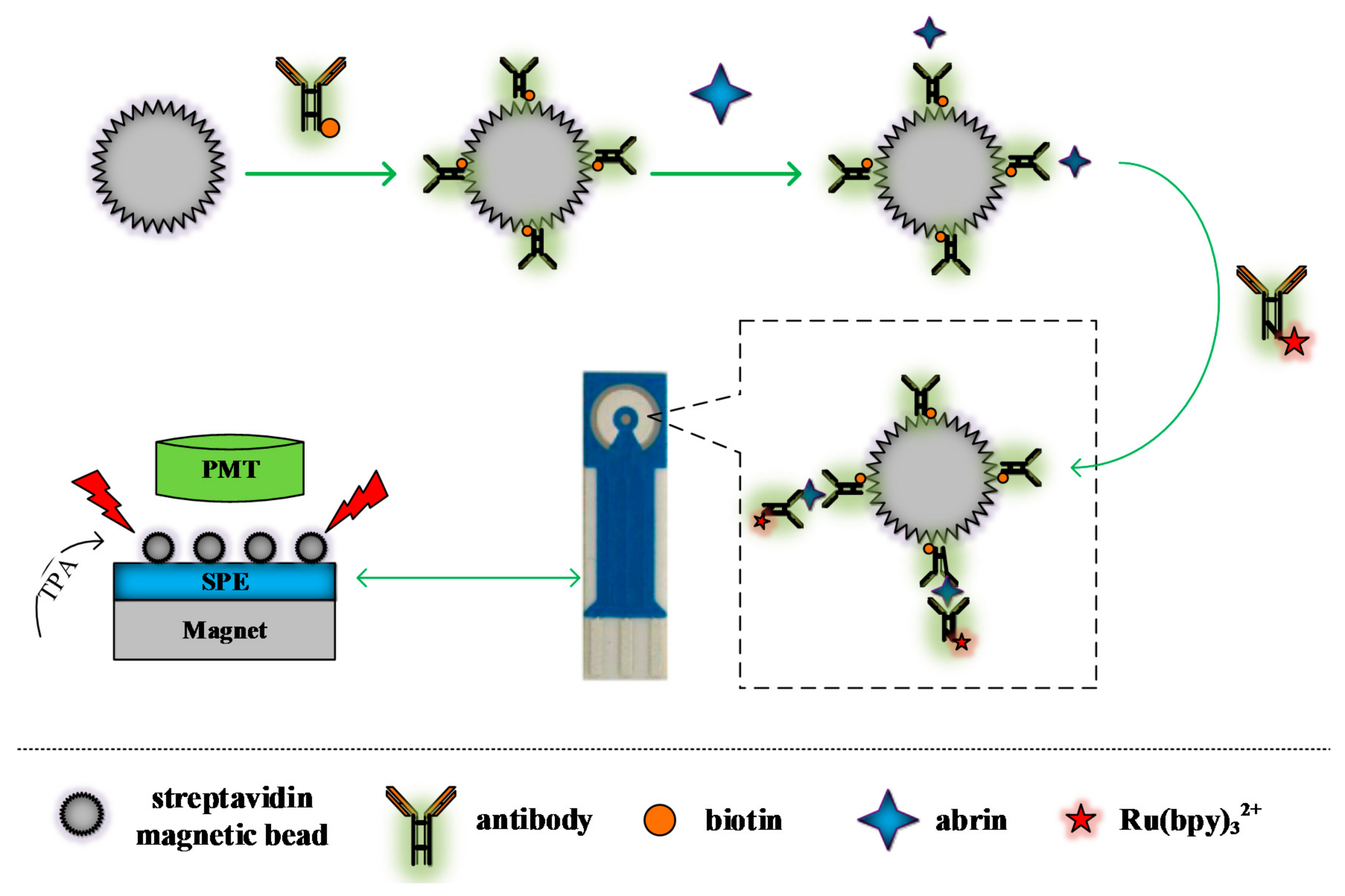 Sensors 18 00357 g003