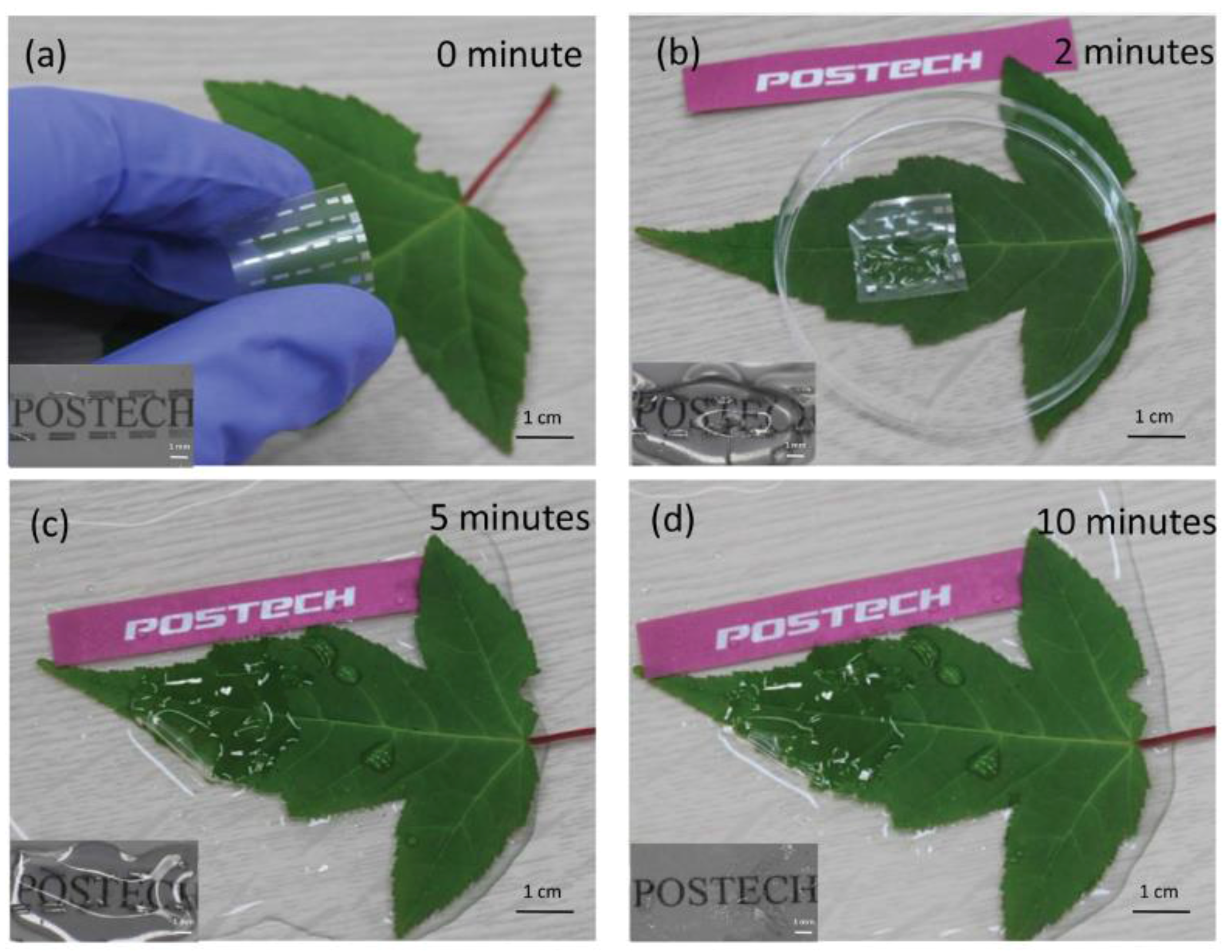Sensors 18 00367 g003