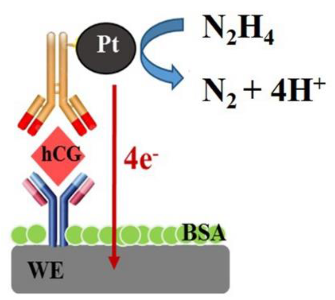 Sensors 18 00444 g004