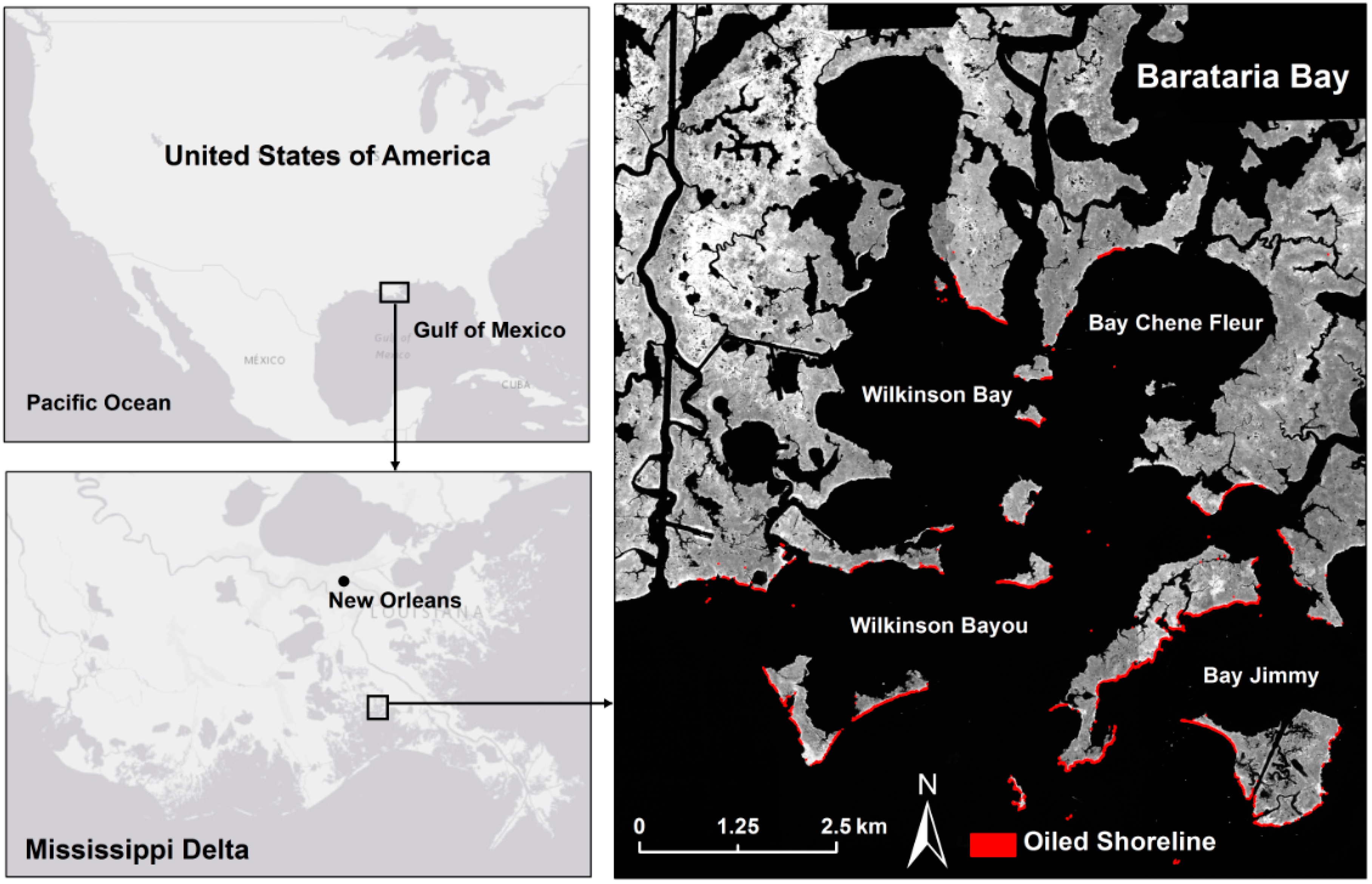 Sensors 18 00558 g001 Sensors 18 00558 g001