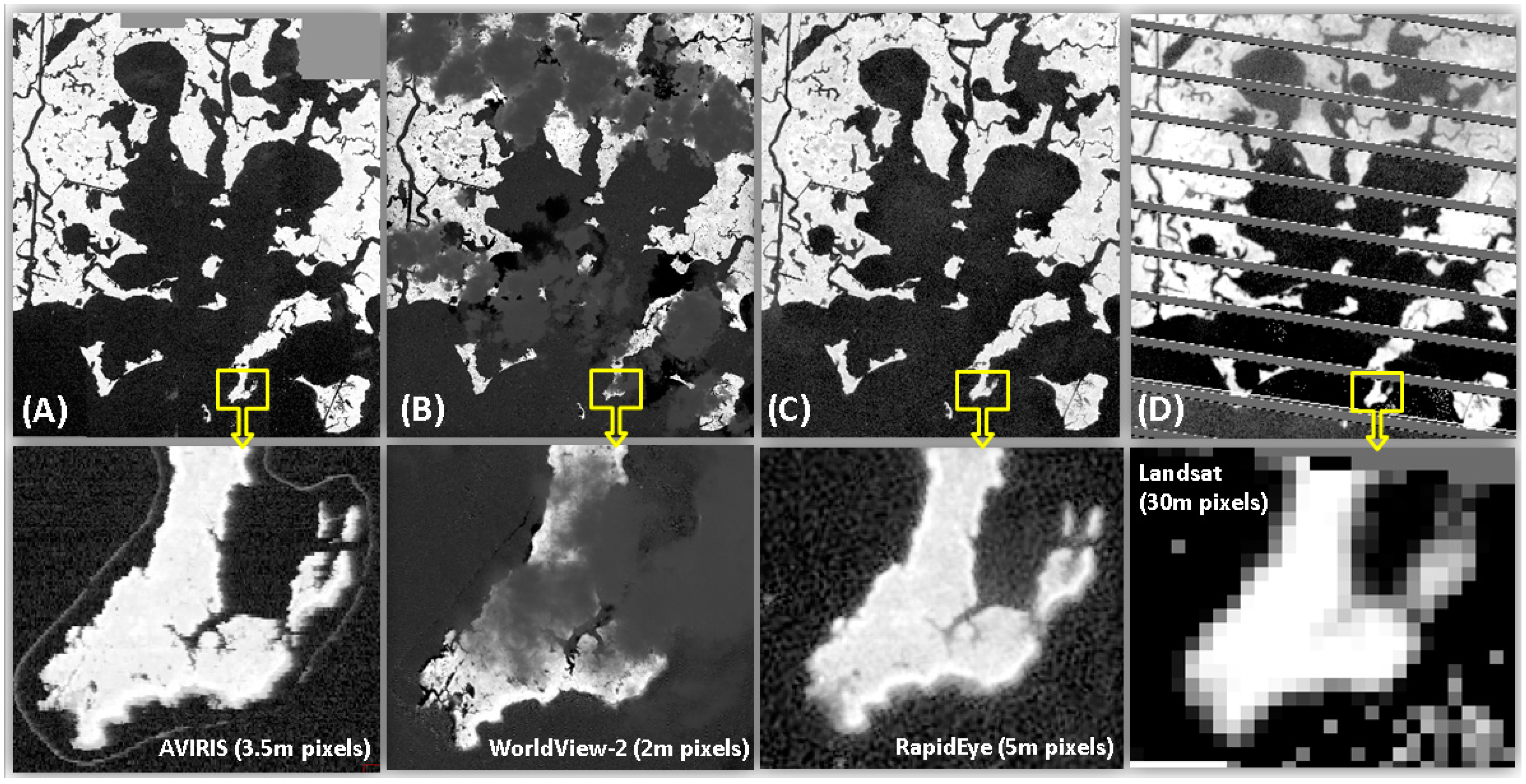 Sensors 18 00558 g002 Sensors 18 00558 g002