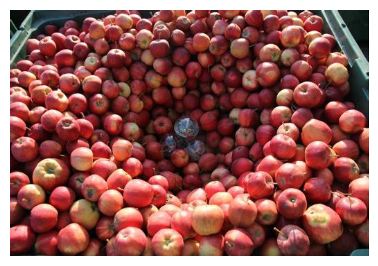 Sensors 18 00576 g013