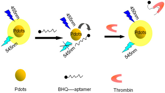 Detection of Thrombin Based on Fluorescence Energy Transfer