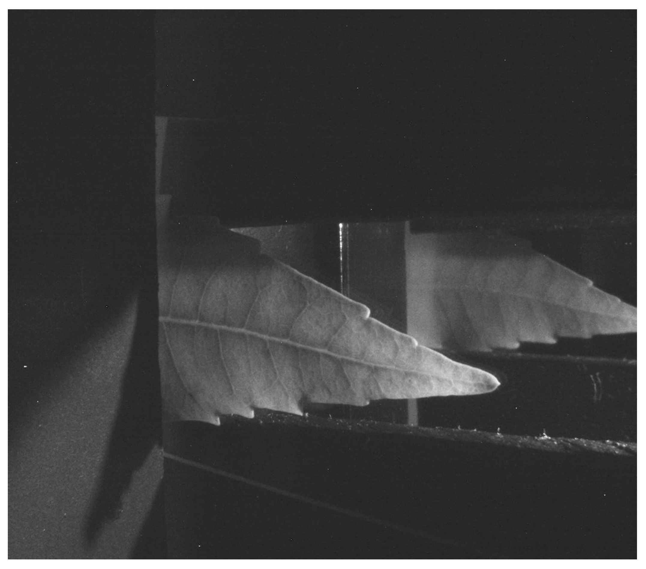 Sensors 18 00650 g002 550