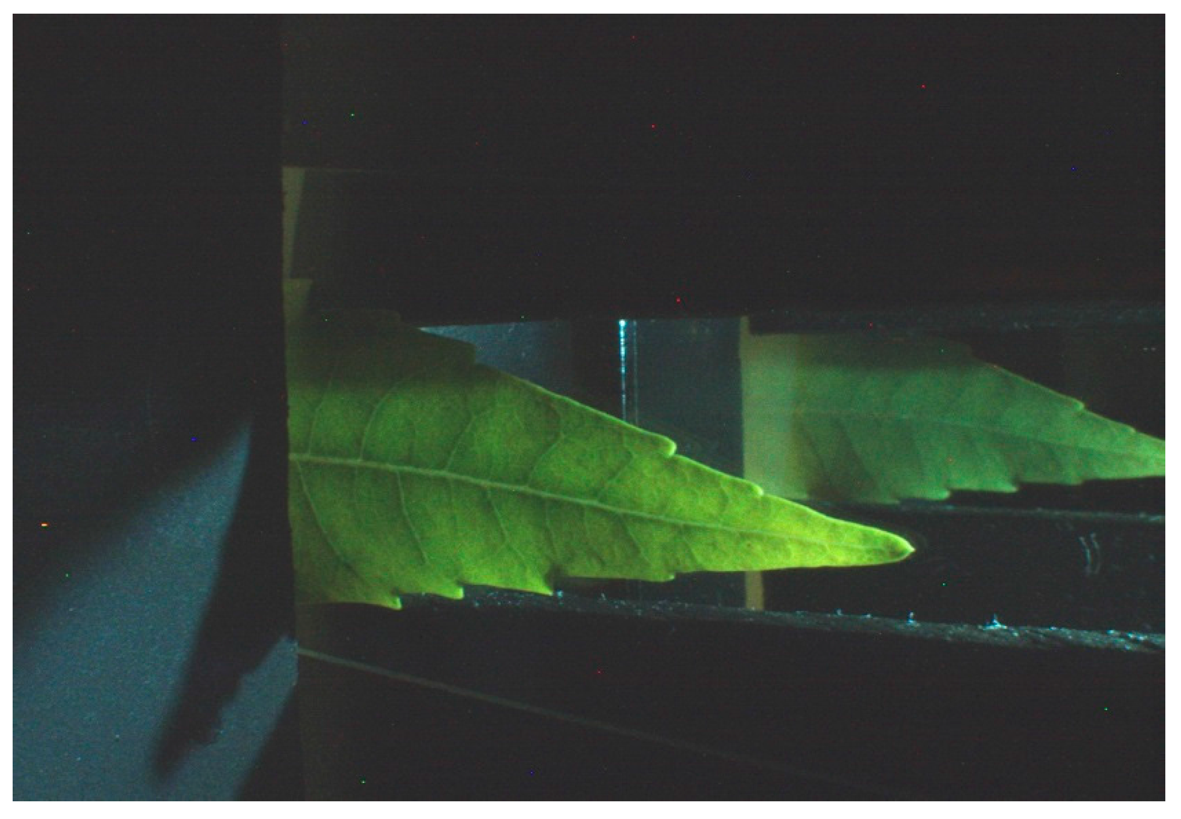 Sensors 18 00650 g003 550