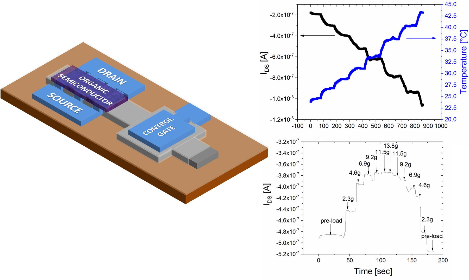 Sensors | Free Full-Text | Floating Gate, Organic Field-Effect  Transistor-Based Sensors towards Biomedical Applications Fabricated with  Large-Area Processes over Flexible Substrates
