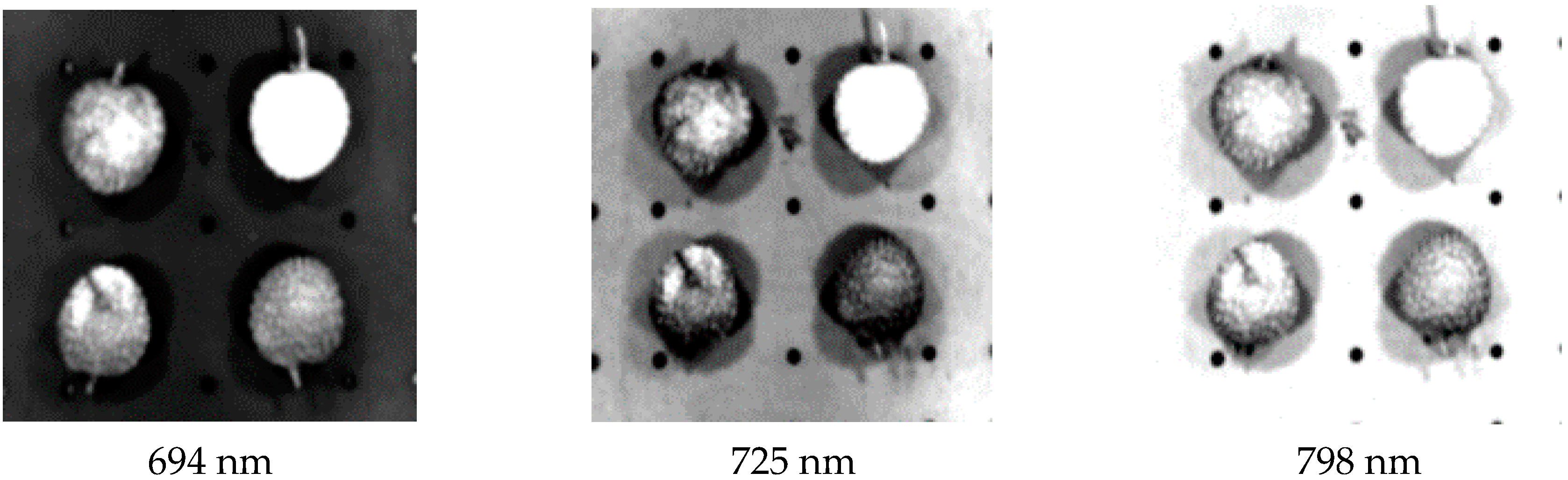 Sensors 18 00700 g009 550
