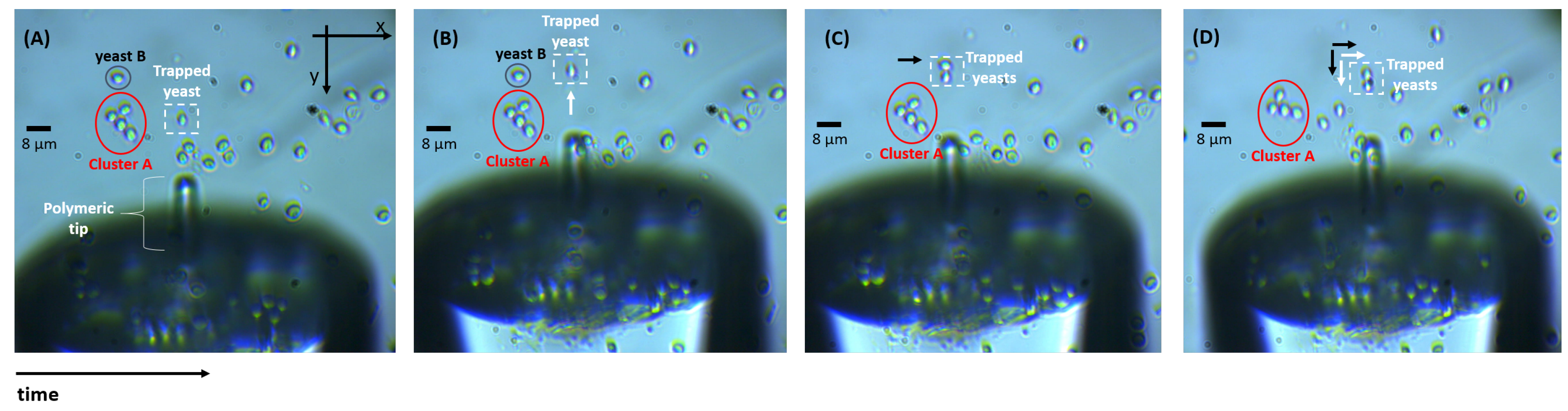 Sensors 18 00710 g008 Sensors 18 00710 g008