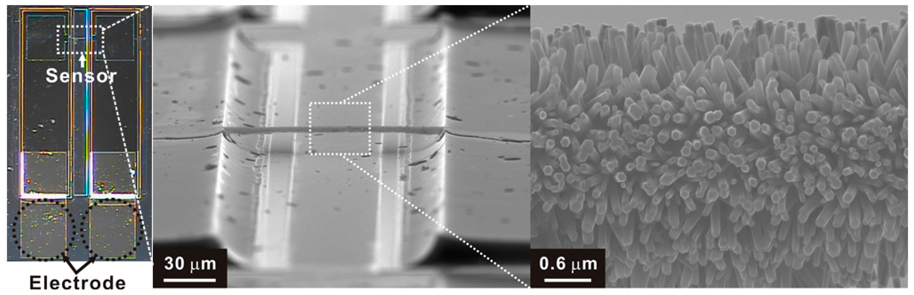 Sensors 18 00761 g002 Sensors 18 00761 g002