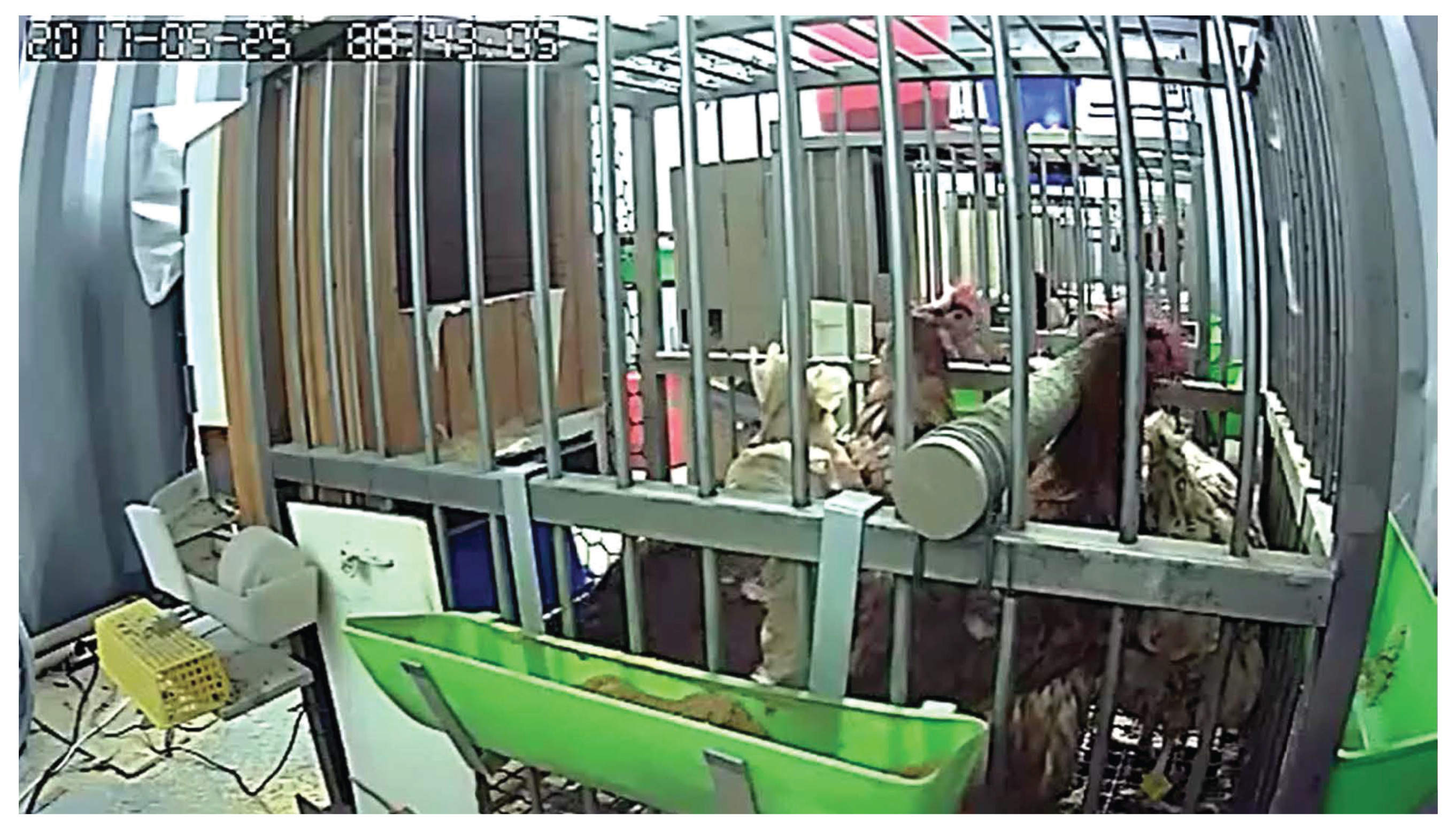 Sensors 18 00859 g006 Sensors 18 00859 g006