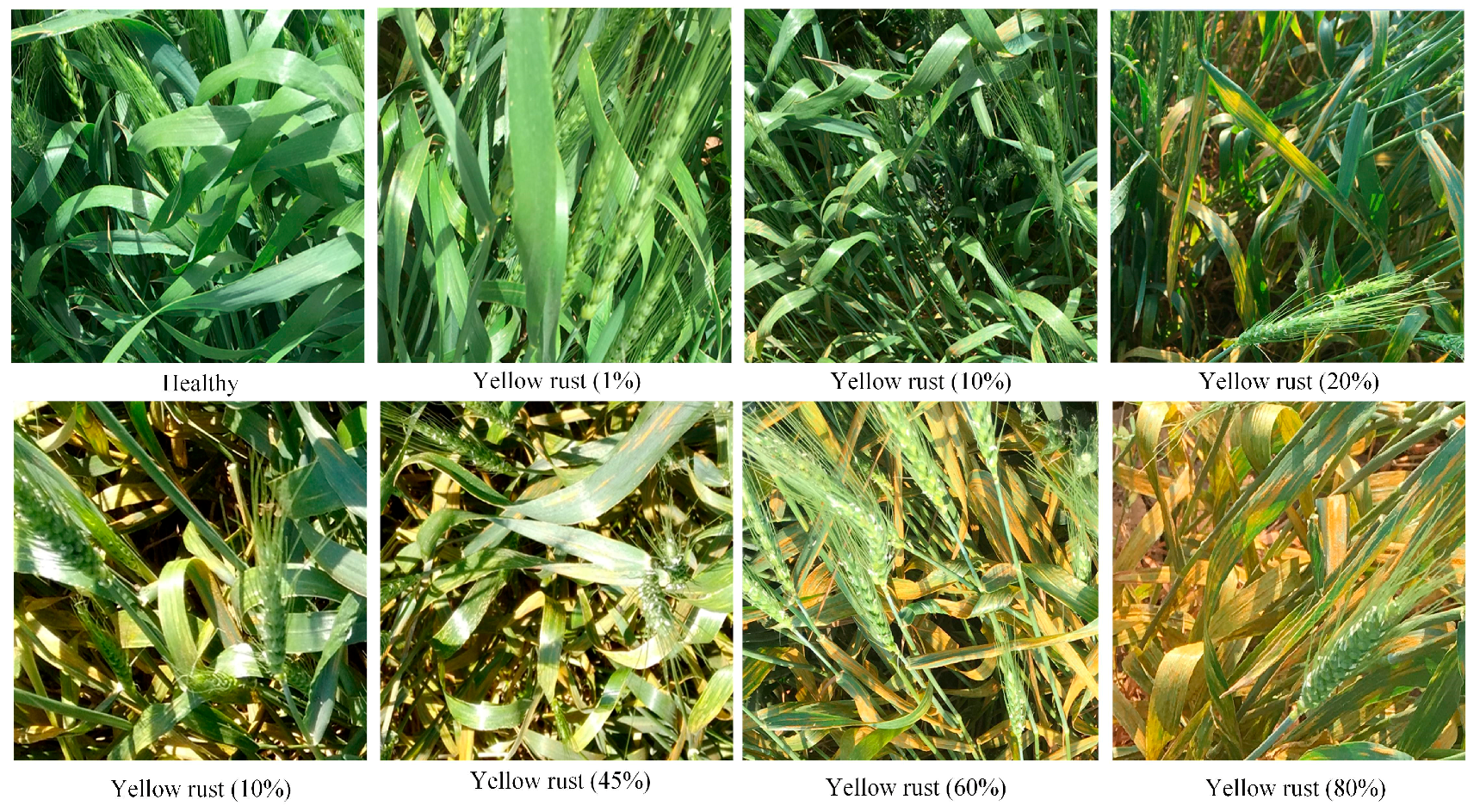 Sensors 18 00868 g003