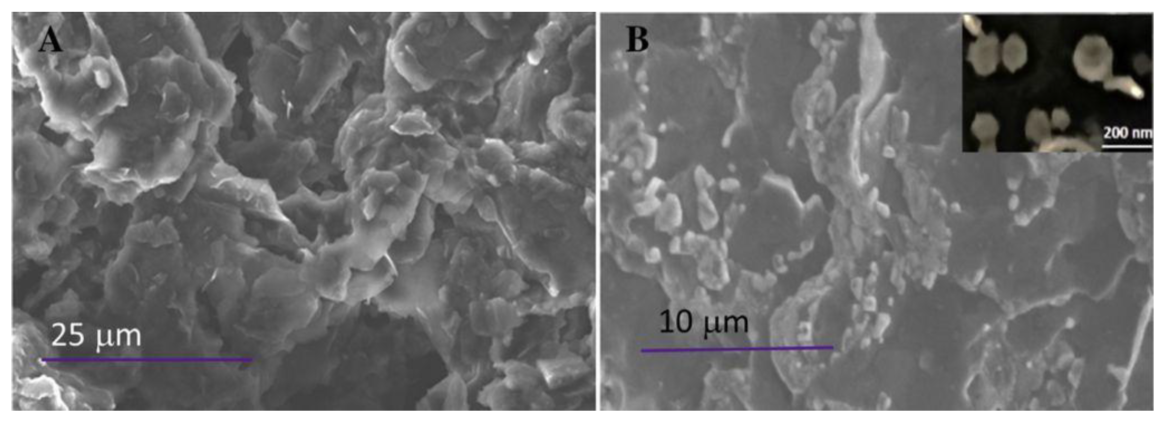 Sensors 18 00901 g005