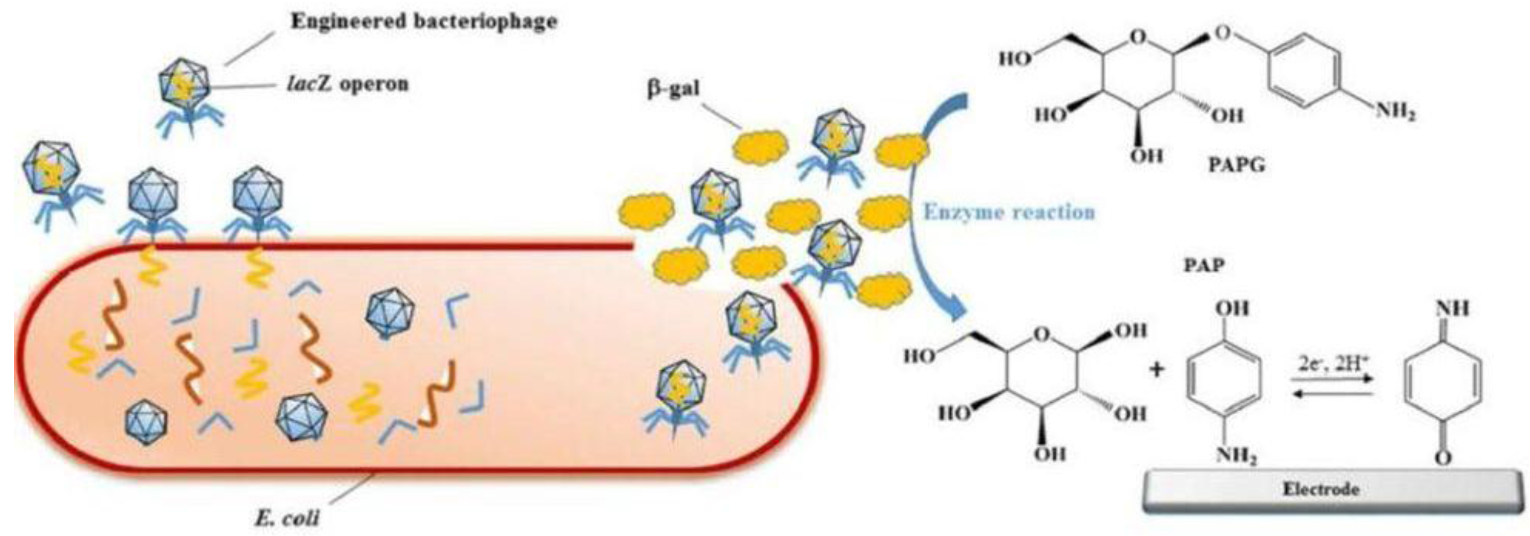 Sensors 18 00901 g008