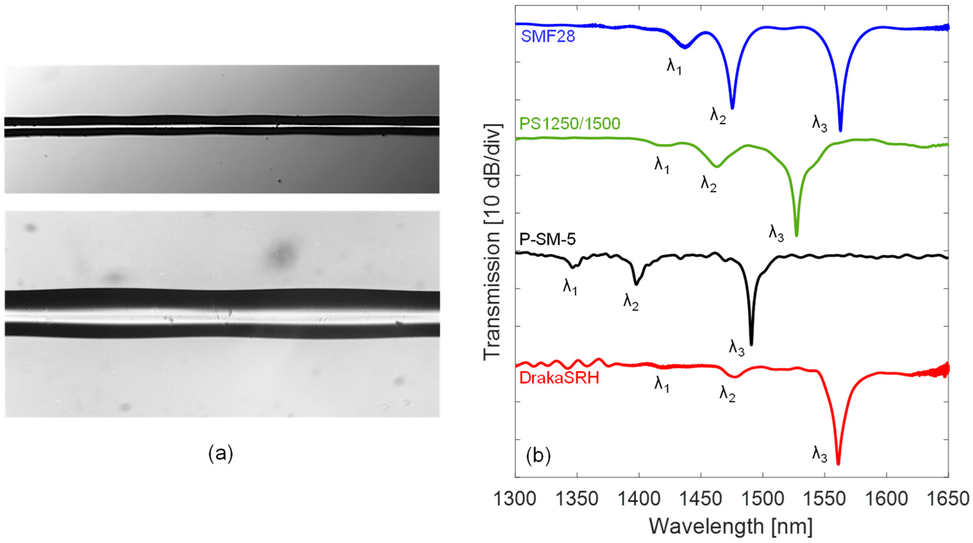 Sensors 18 00918 g003 550