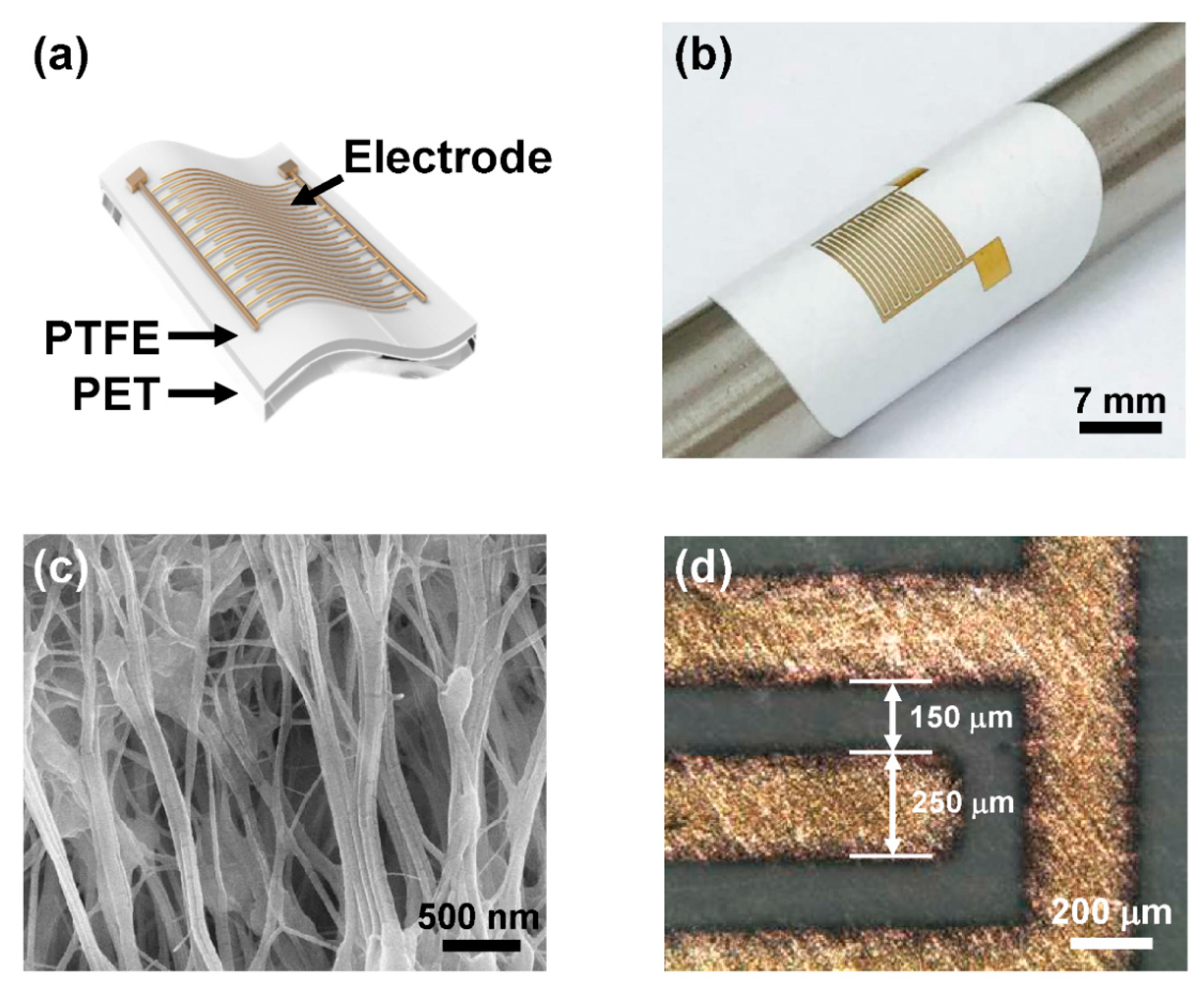 Sensors | Free Full-Text | Enhanced Moisture-Reactive  Hydrophilic-PTFE-Based Flexible Humidity Sensor for Real-Time Monitoring |  HTML