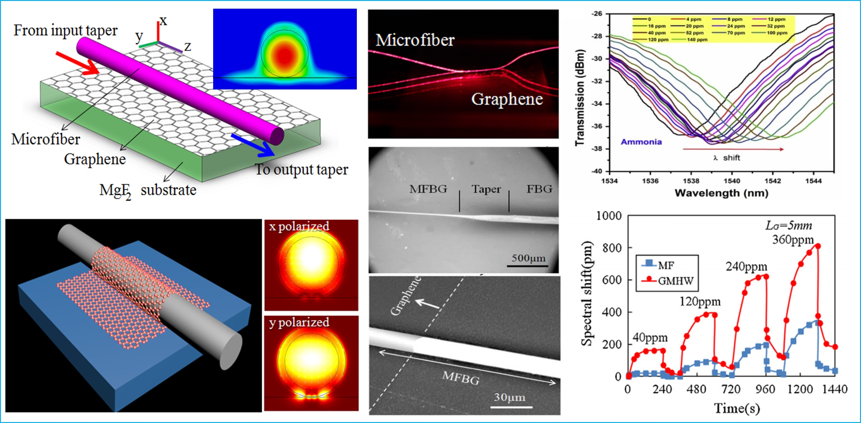 Sensors Free FullText Optical Graphene Gas Sensors Based on