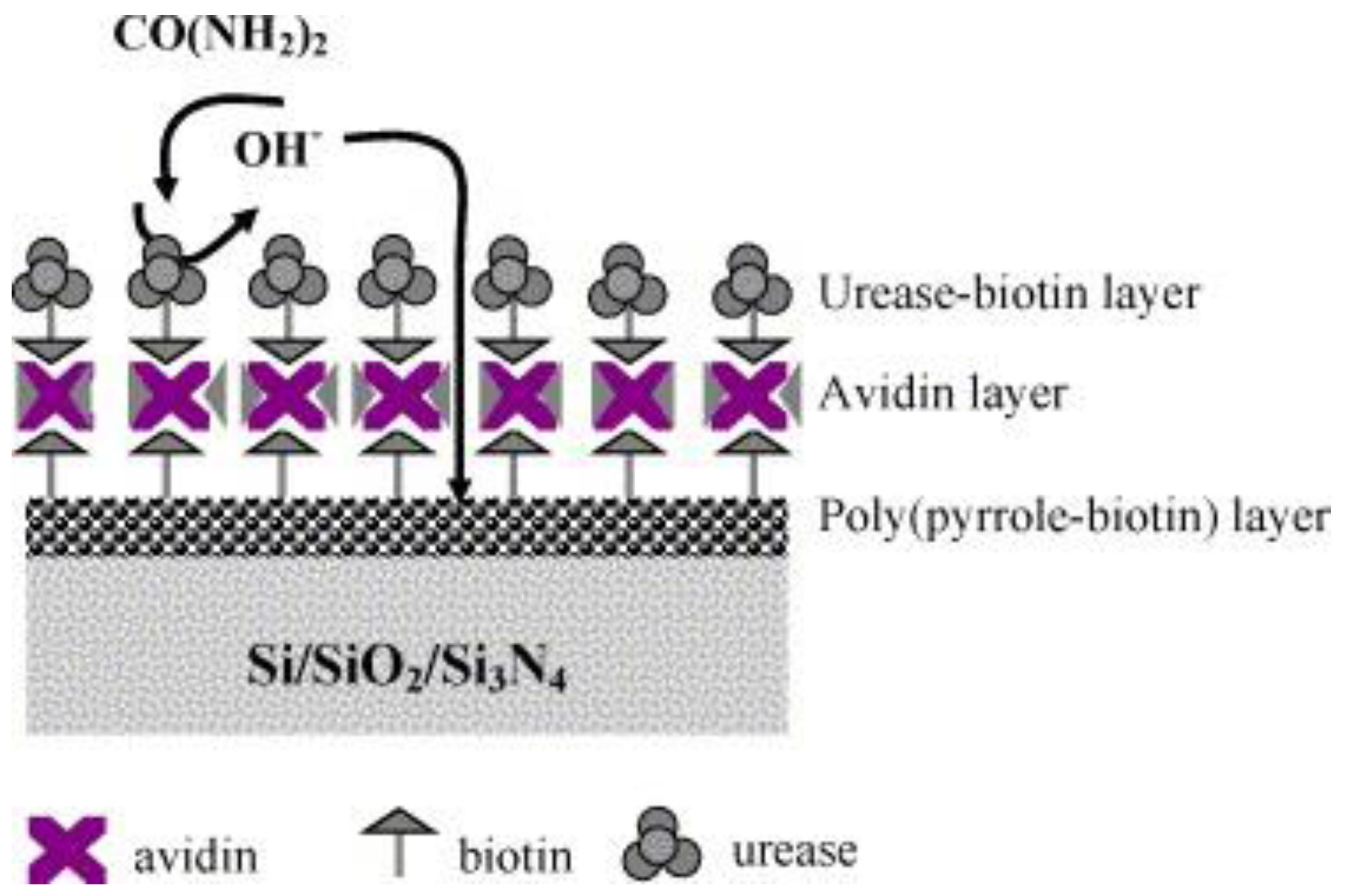 Sensors 18 00942 g002 Sensors 18 00942 g002
