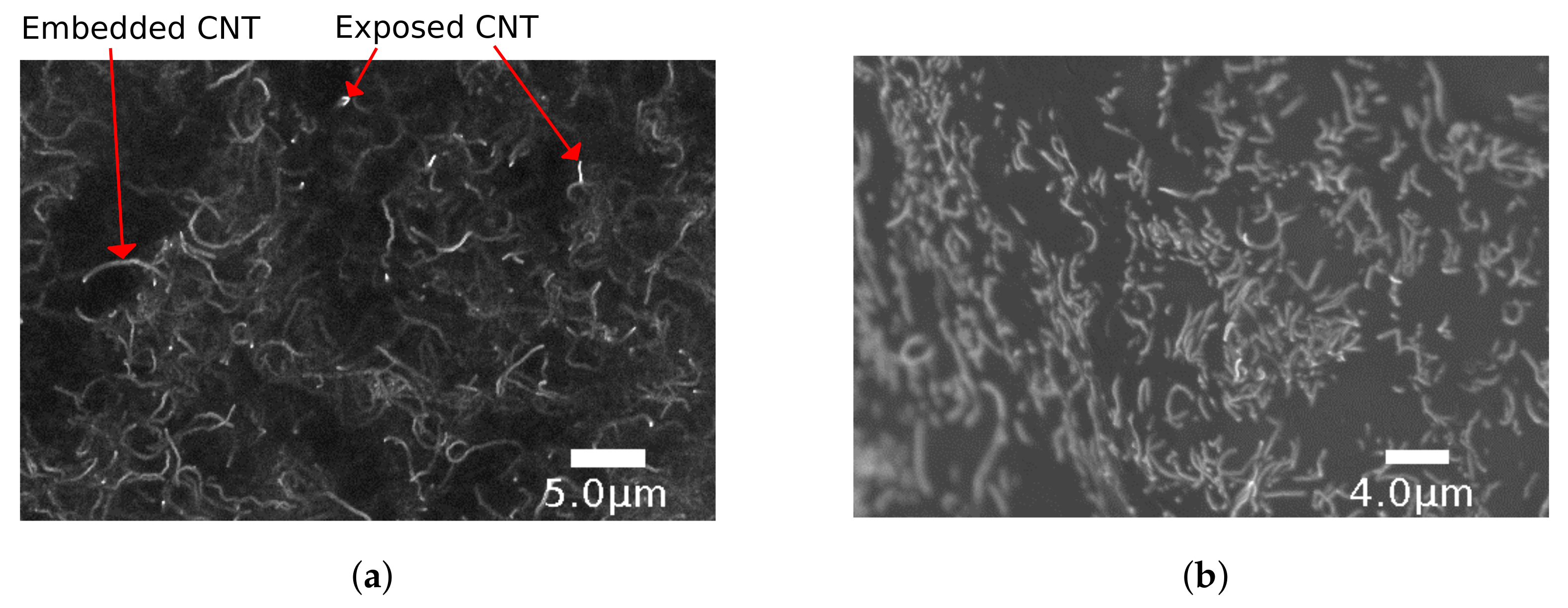 Sensors 18 00953 g005