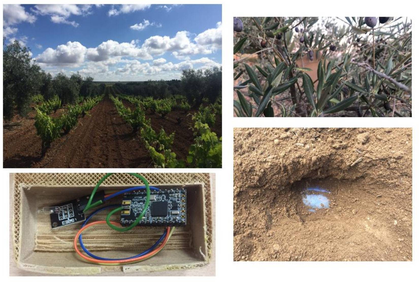 Sensors 18 00954 g005 550