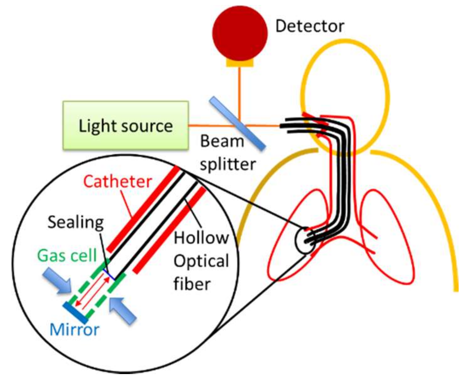 Sensors 18 00995 g001