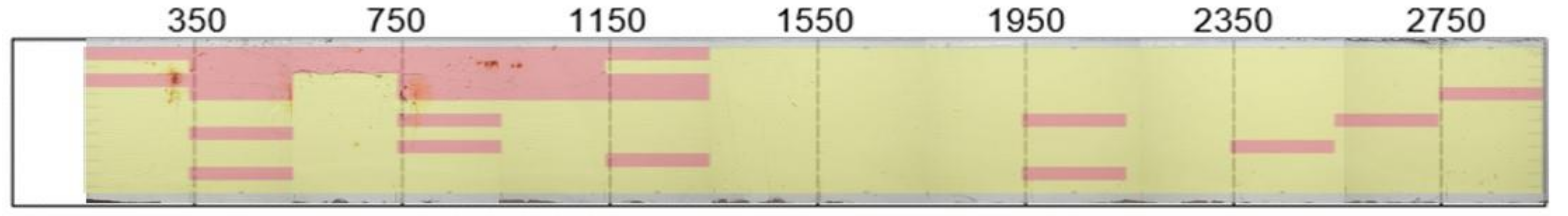 Sensors 18 01018 g013 550