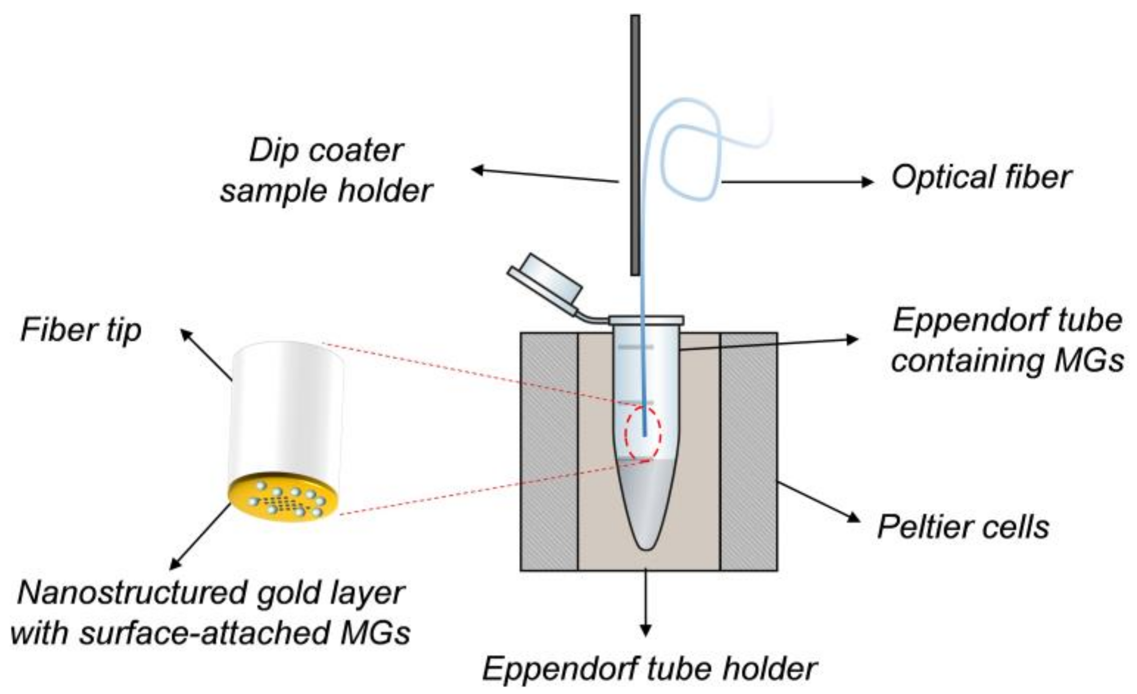 Sensors 18 01119 g002